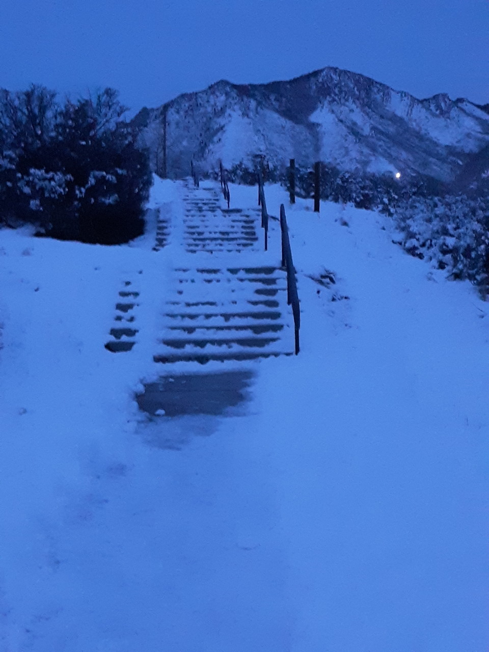 snowystairs.jpg