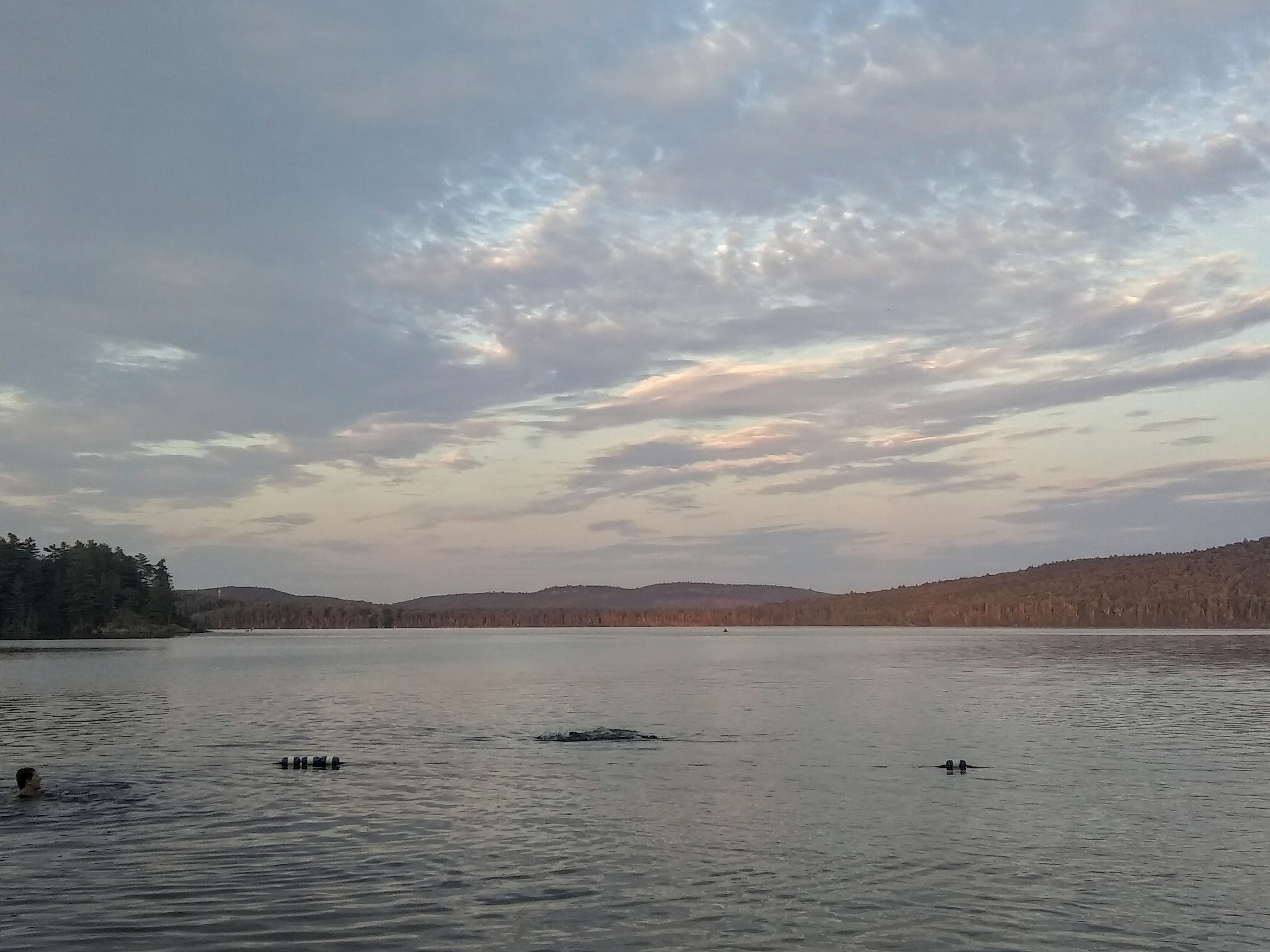 Algonquin 6.jpg