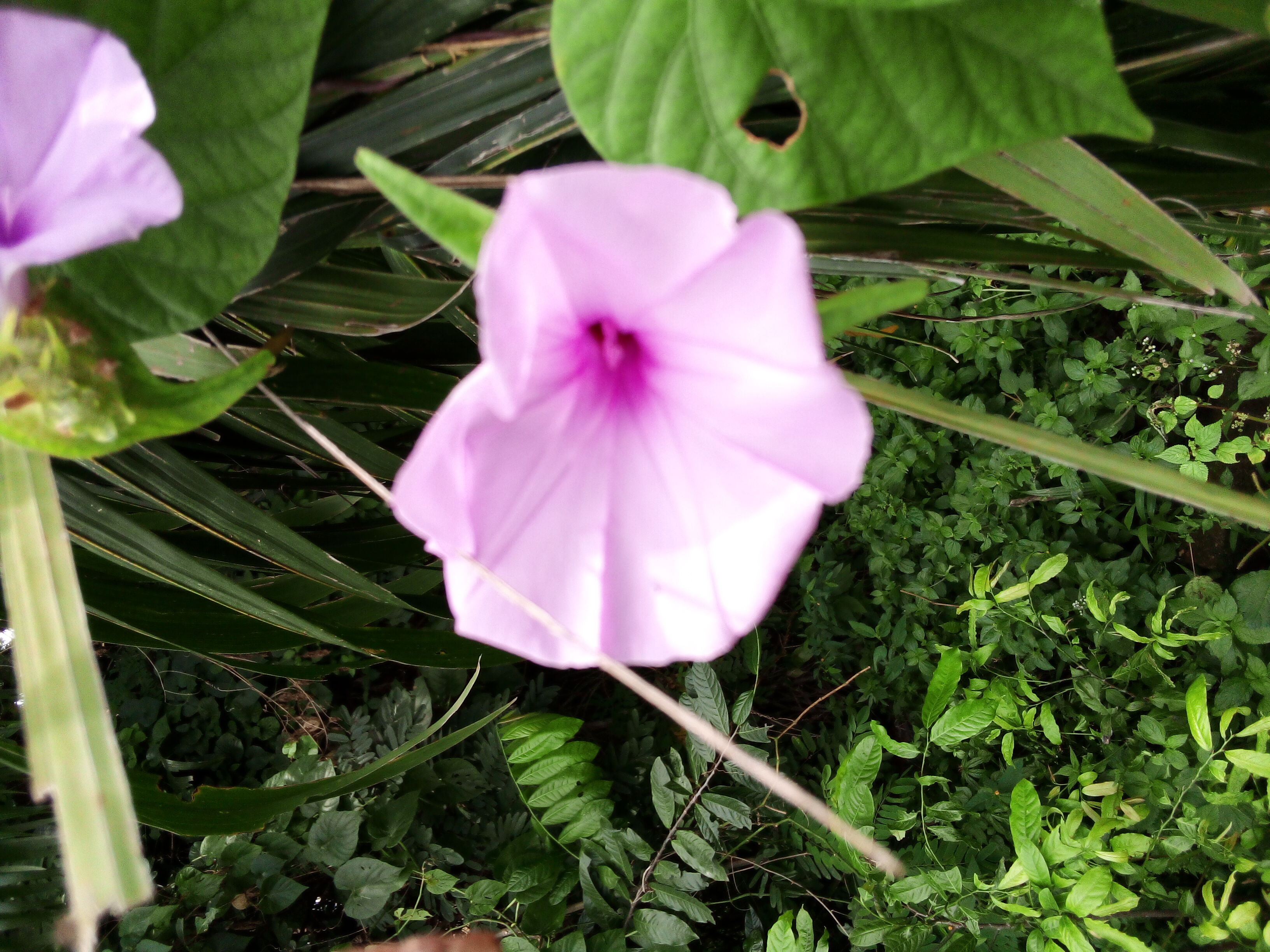 IMG_20211017_122107_147.jpg
