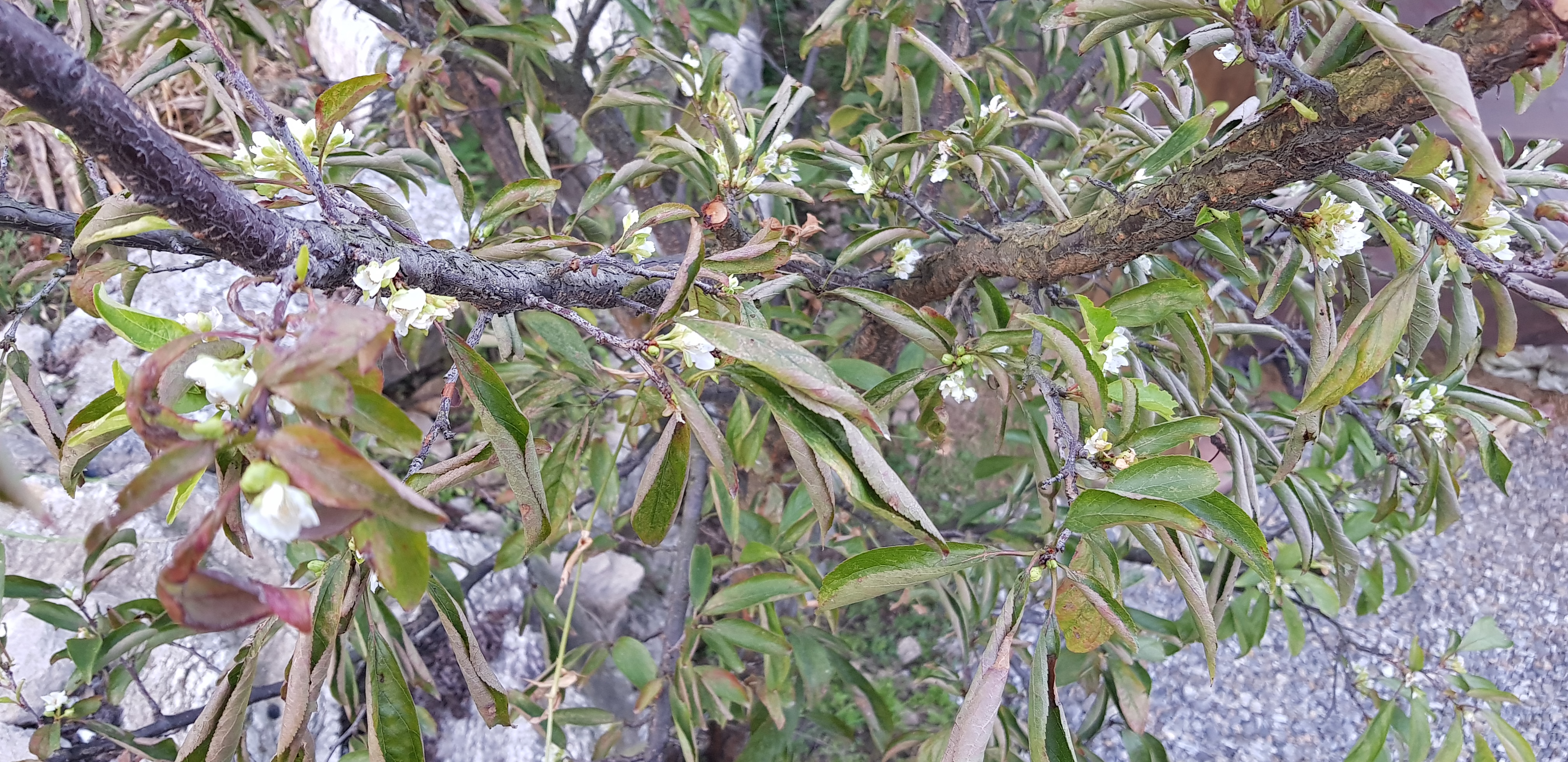20190924_180812.jpg
