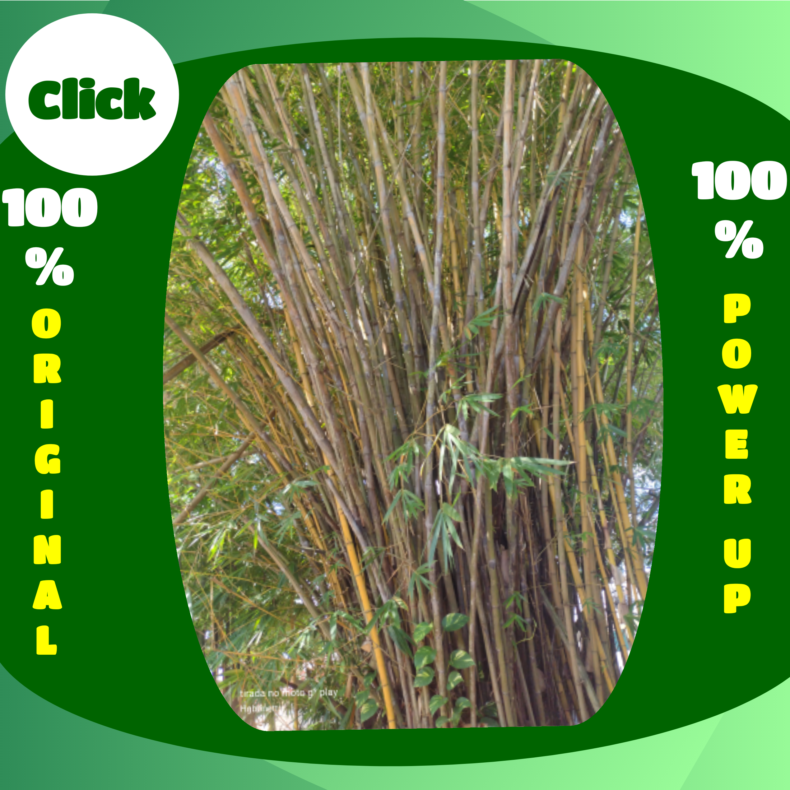 IMG-20210618-0001.png
