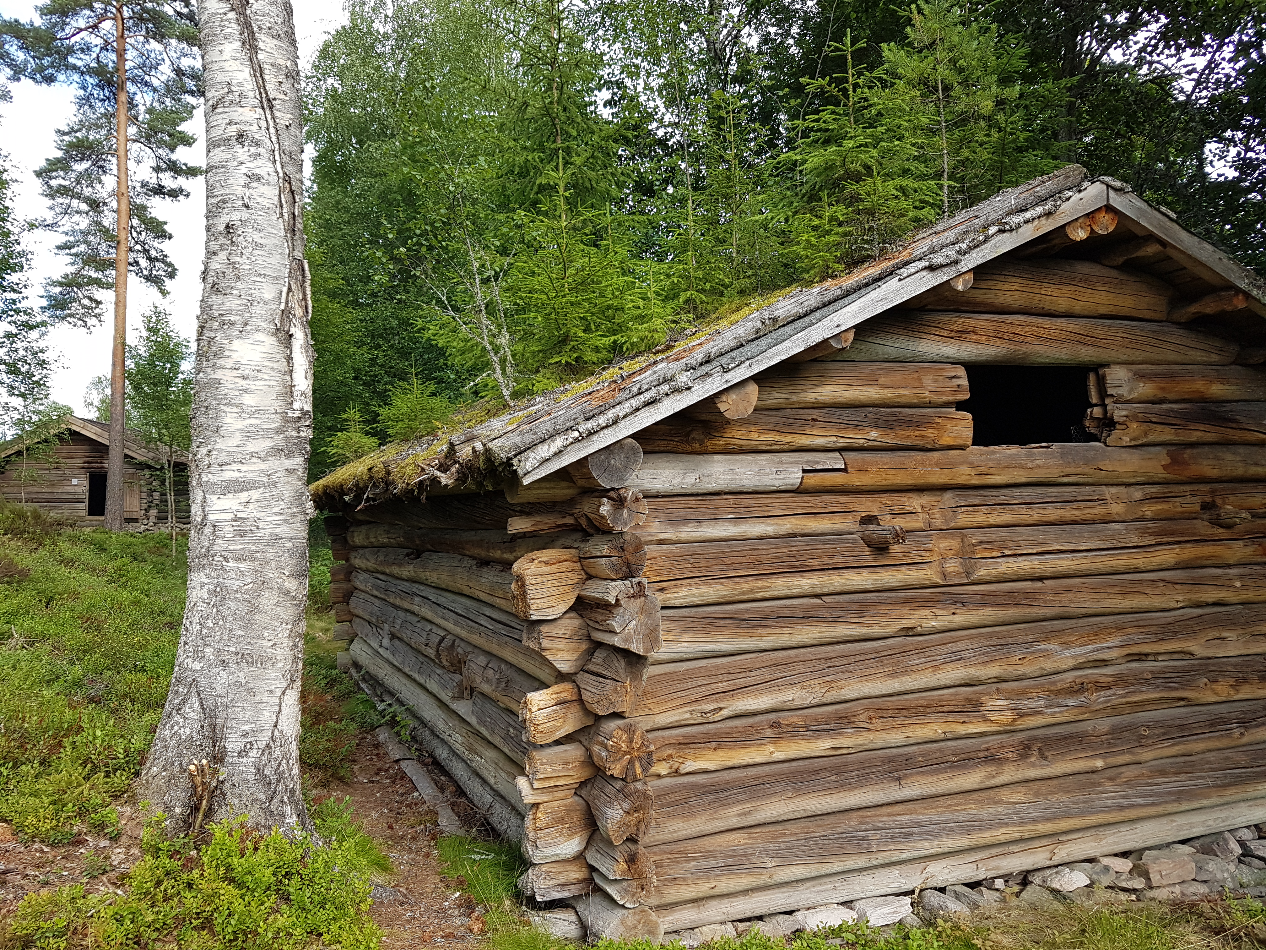 20220718_163455.jpg