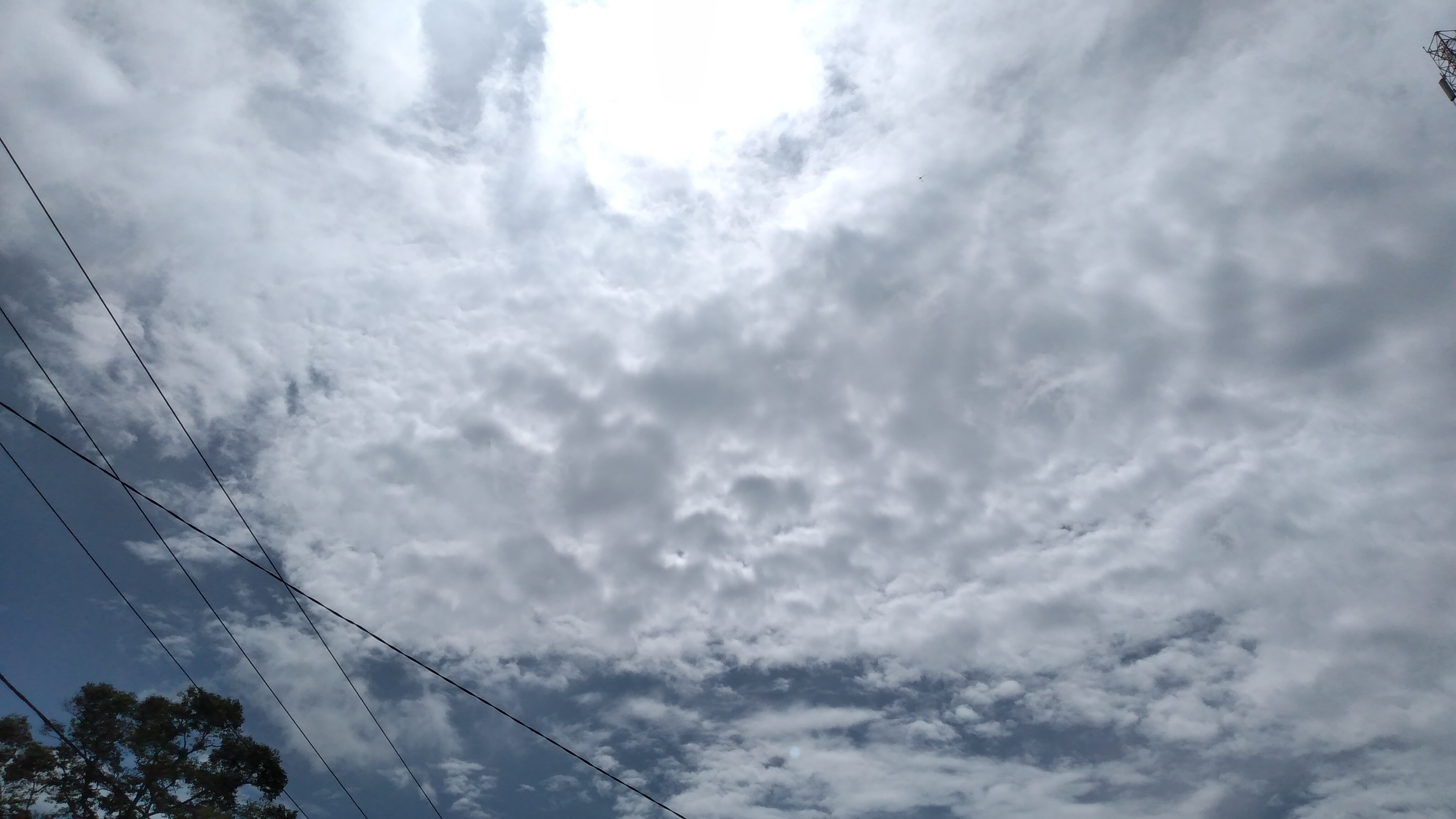 20221017_103117.jpg