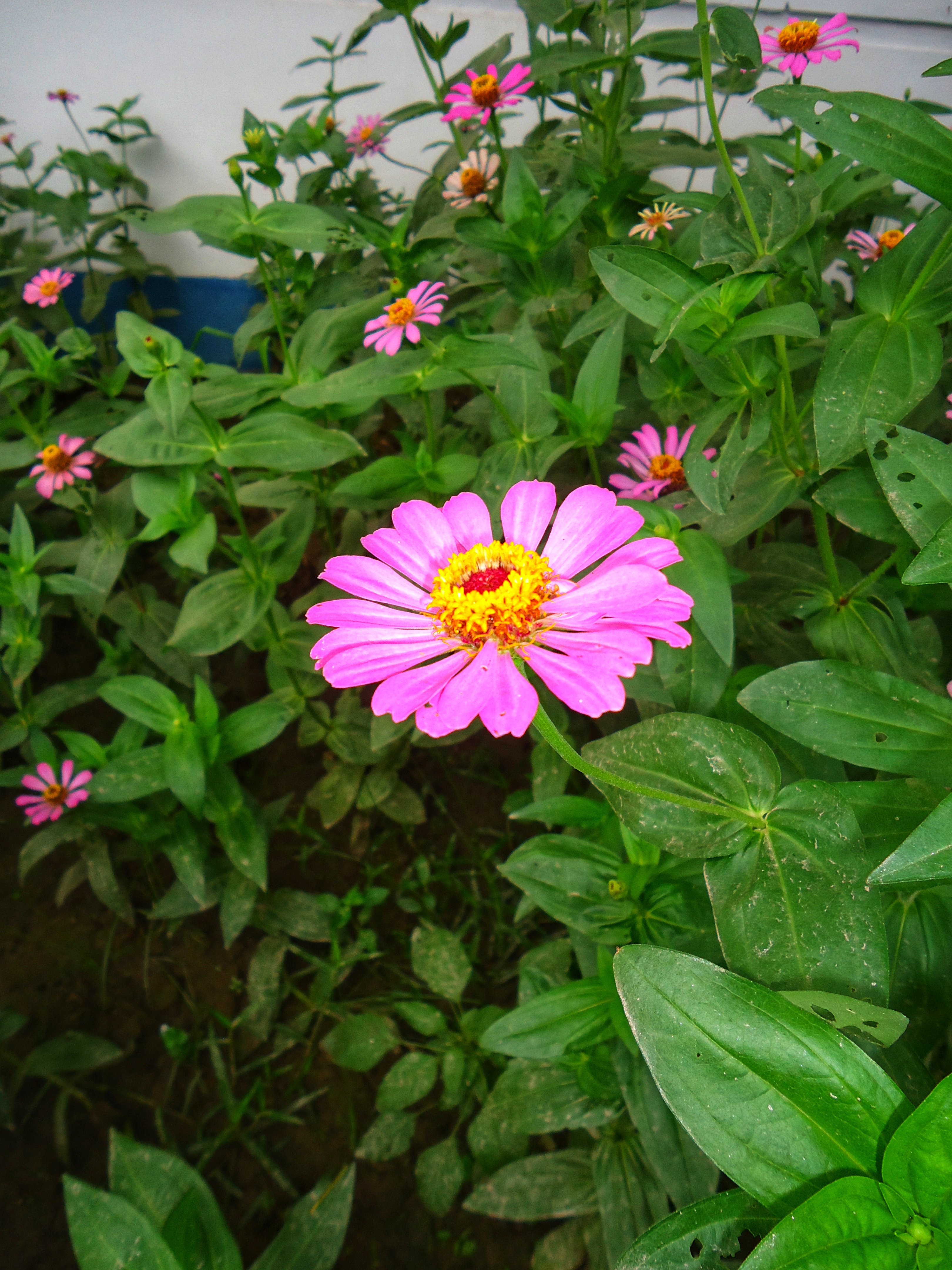 DSC07729-01.jpeg