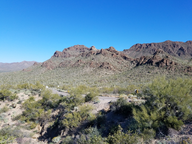 20190306_093805_5.jpg