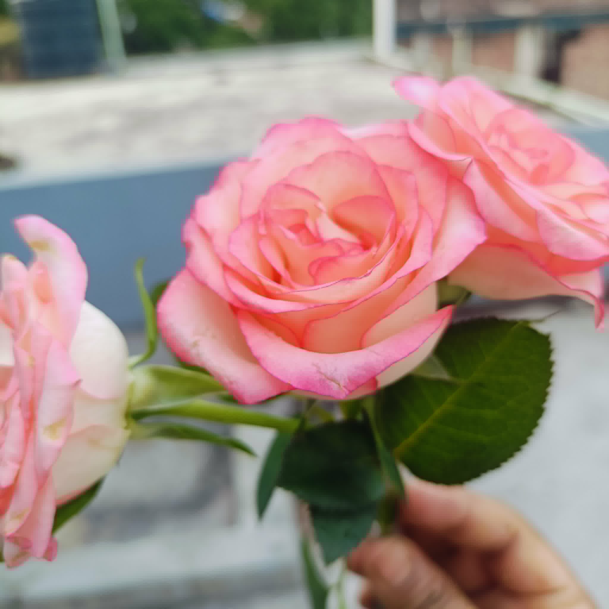 5d7402c2-67ed-49e5-bd19-cff2b59bf330.jpg