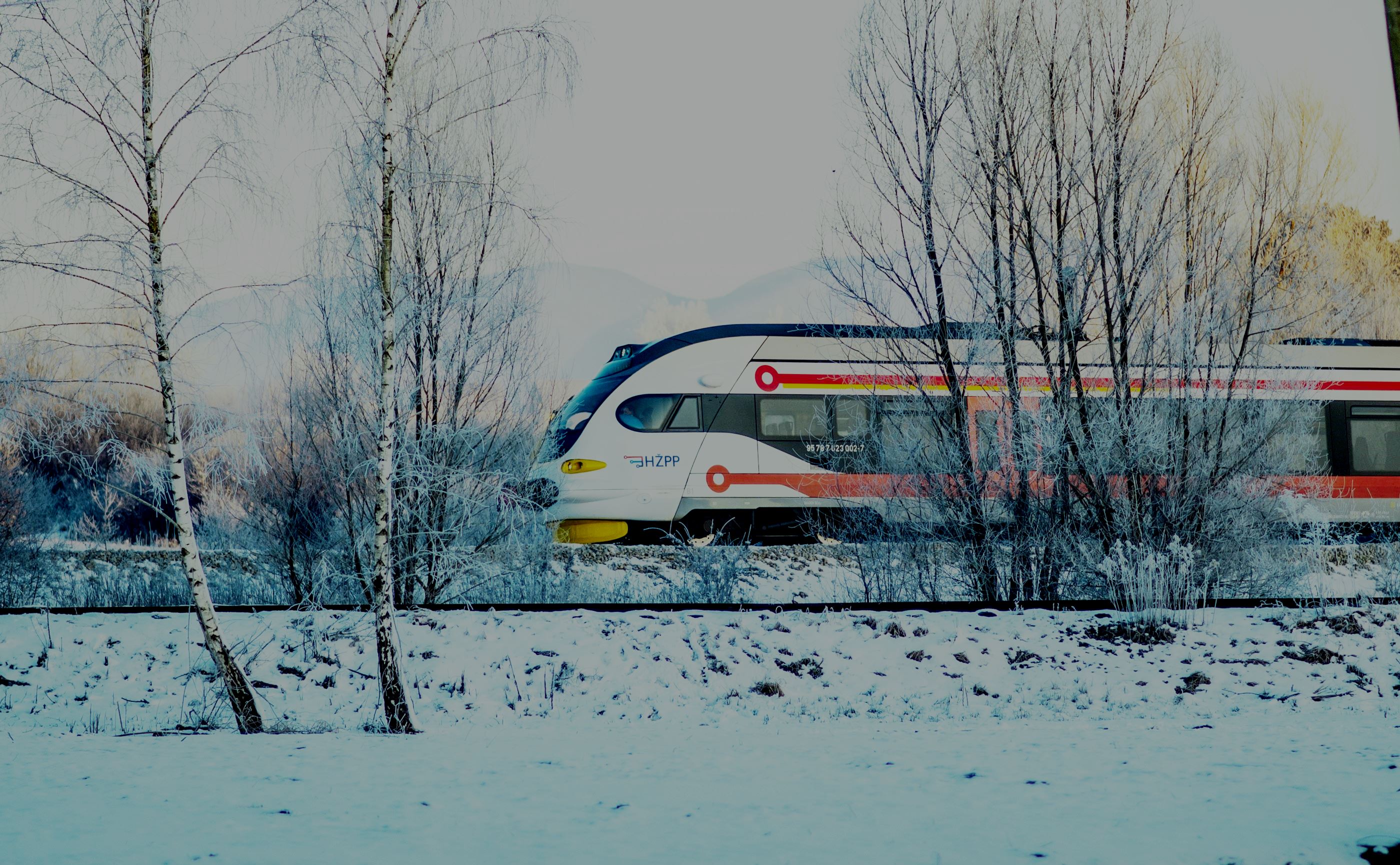 pexels-anton-kudryashov-118639843-20579828.jpg