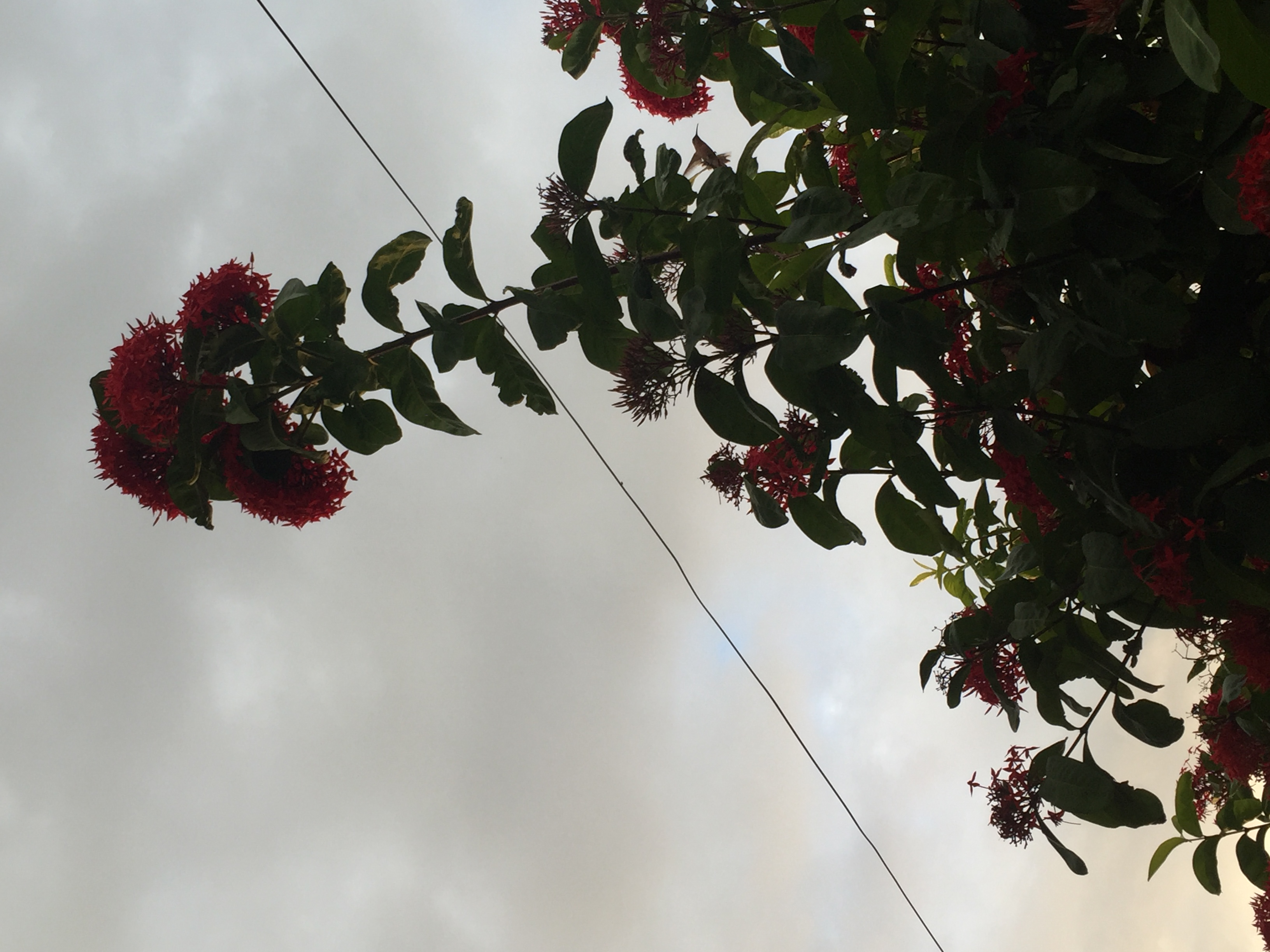 06D80AEC-4D32-4AD2-A811-71937EAA92C3.jpeg