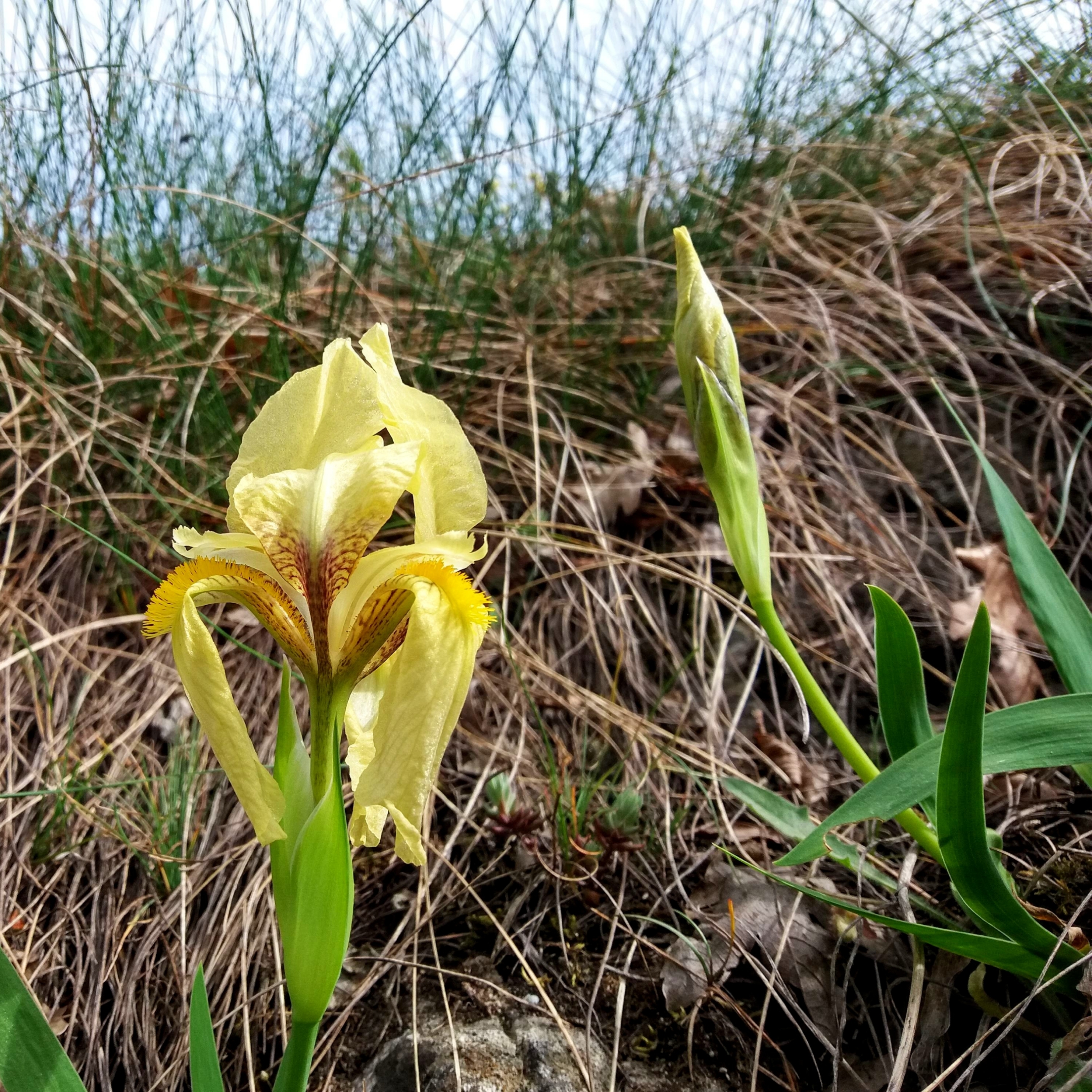 20190511_152838.jpg