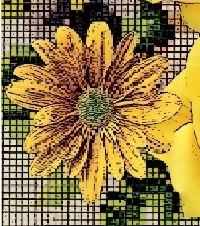 Flor punto.jpg