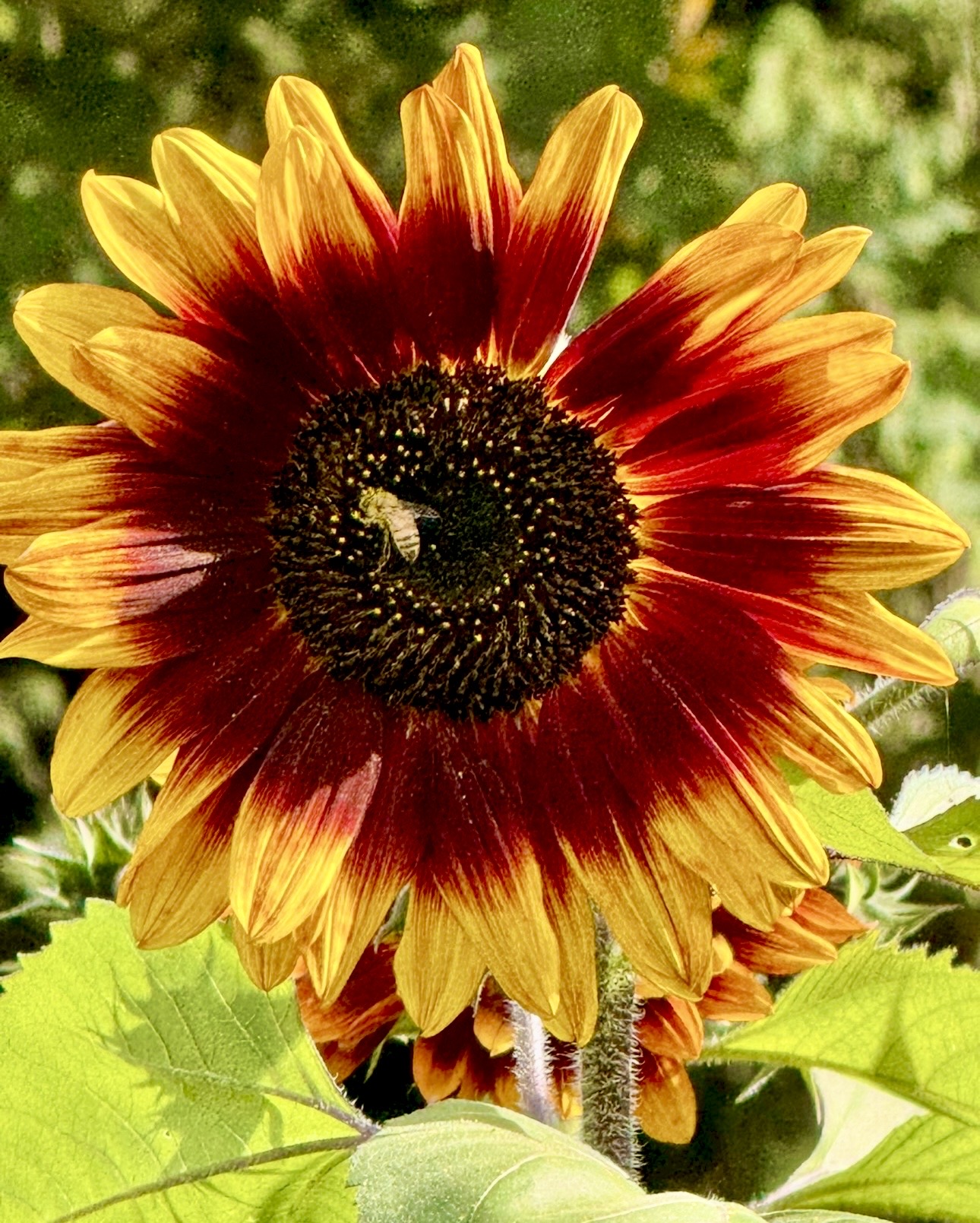 IMG_9041.jpg