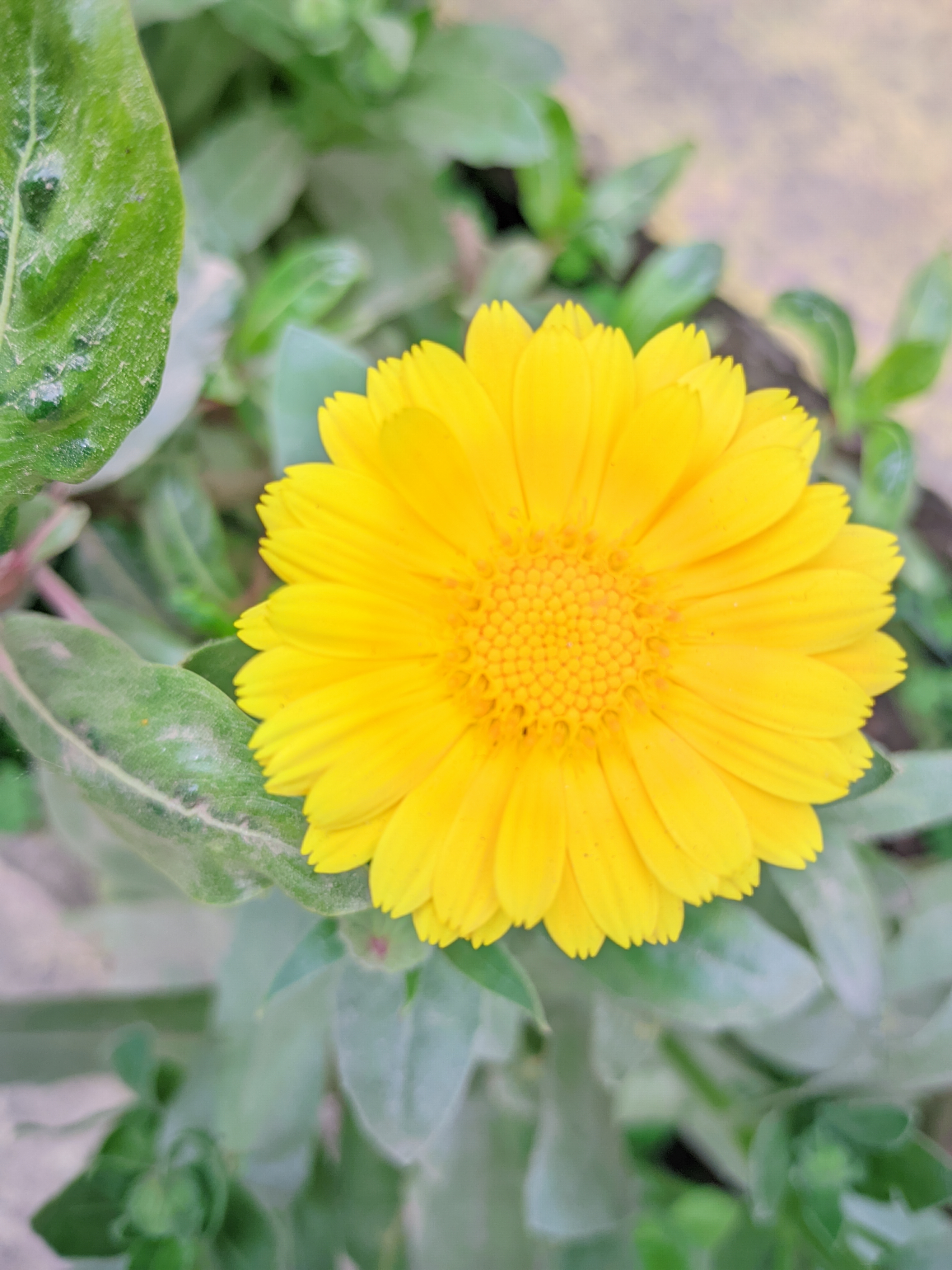 RIYAN_20240221_130558_👫Vivid Color .jpg