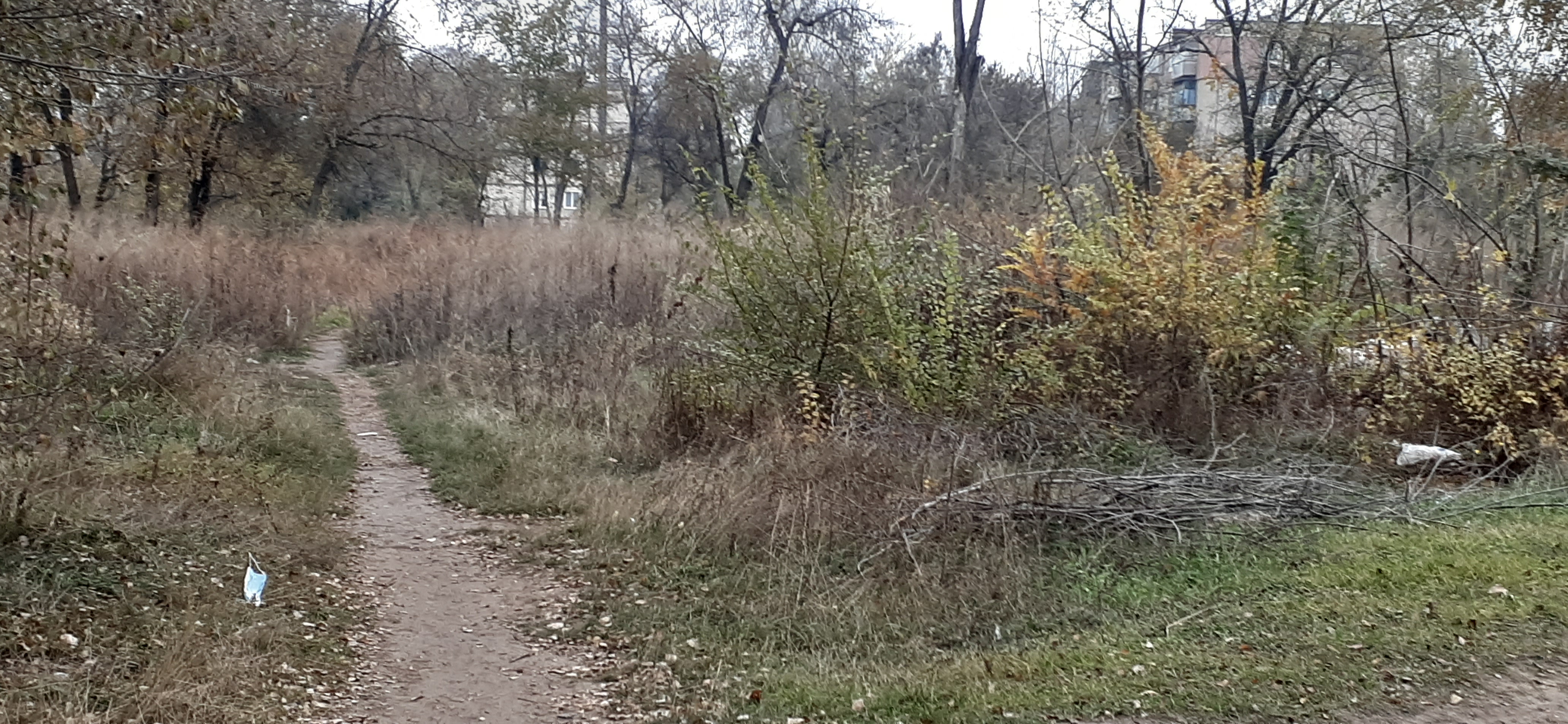 20201116_143531.jpg
