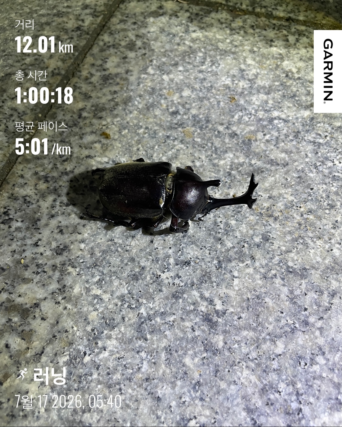 KakaoTalk_20260717_071730668.jpg