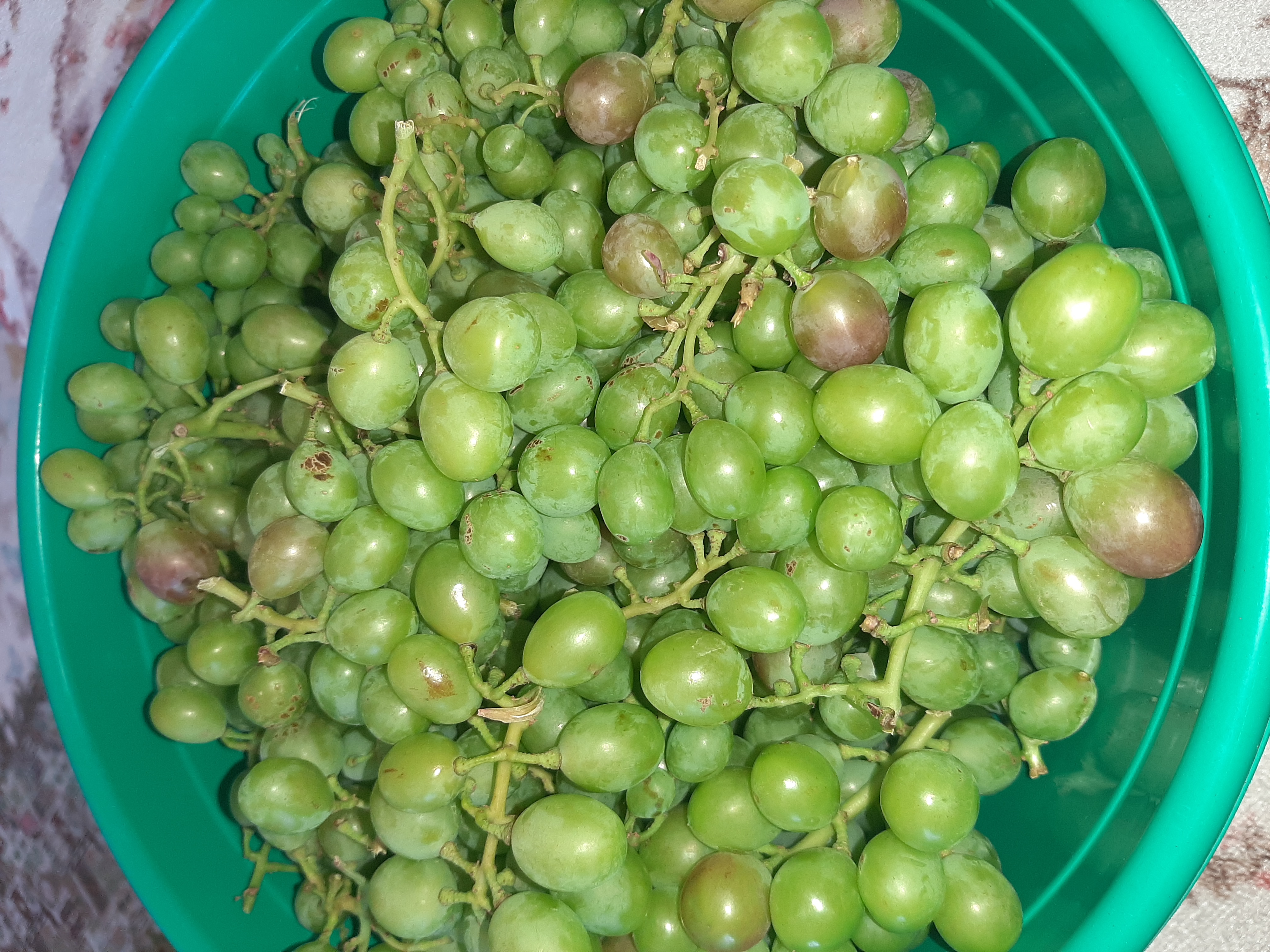 20220704_133232.jpg