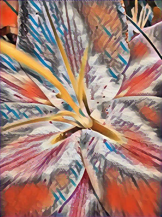 imagesfl (19).jpeg