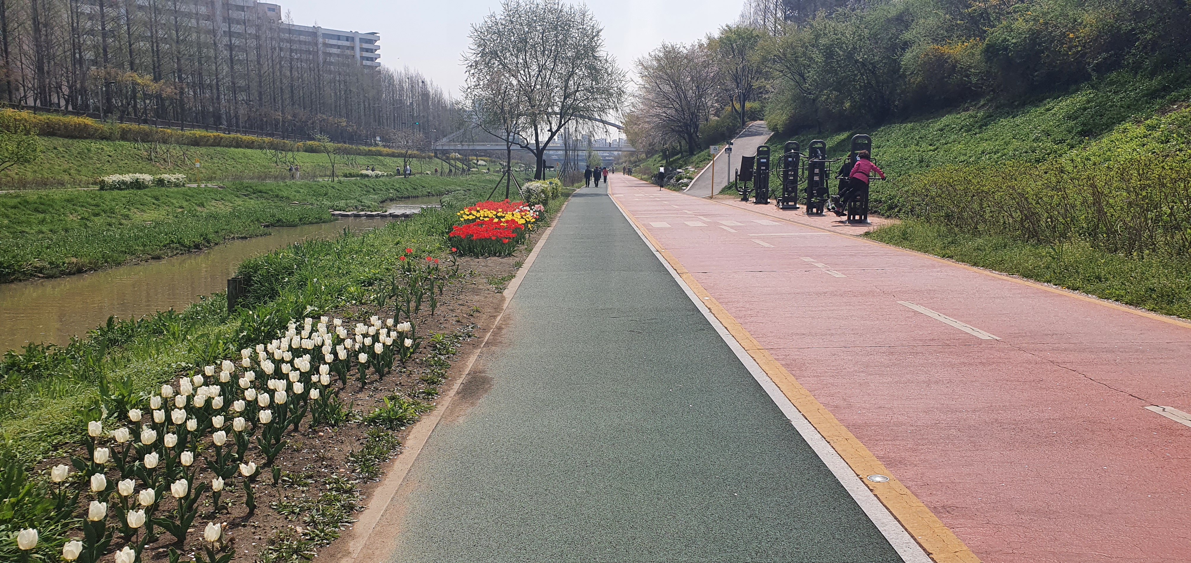 KakaoTalk_20210503_172106388.jpg