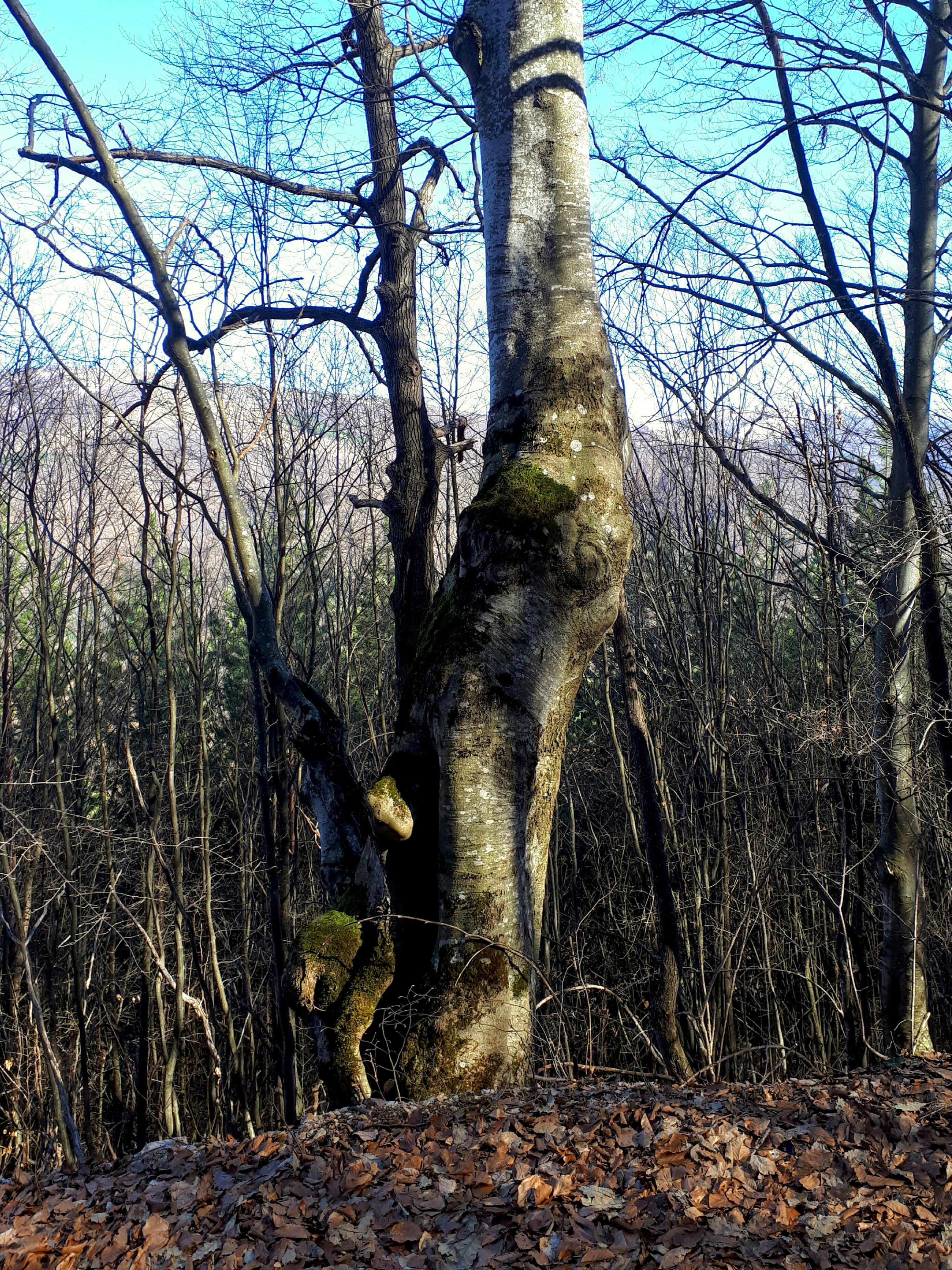 20190317_143725.jpg