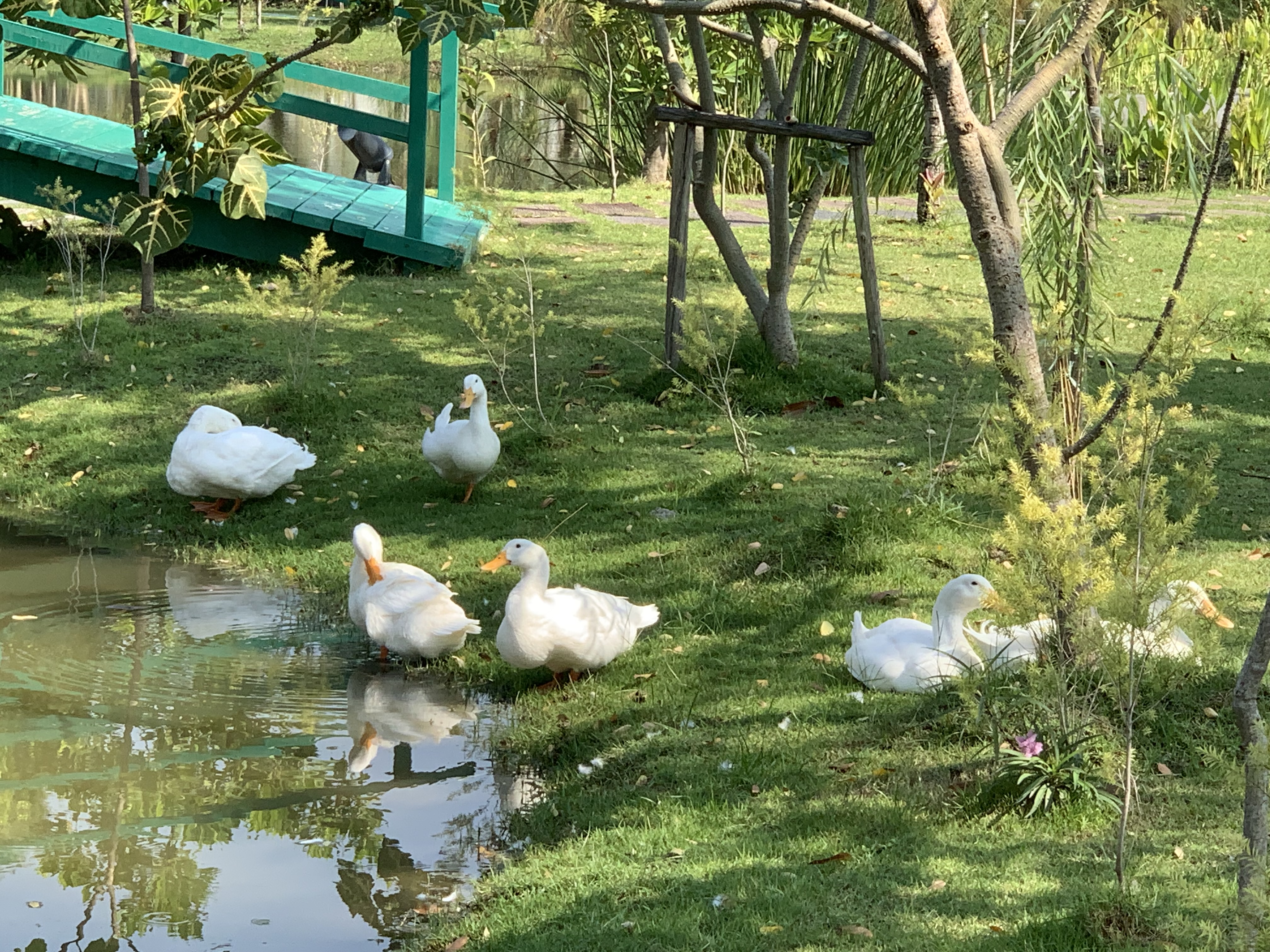 Queen Sirikit Park102.jpg