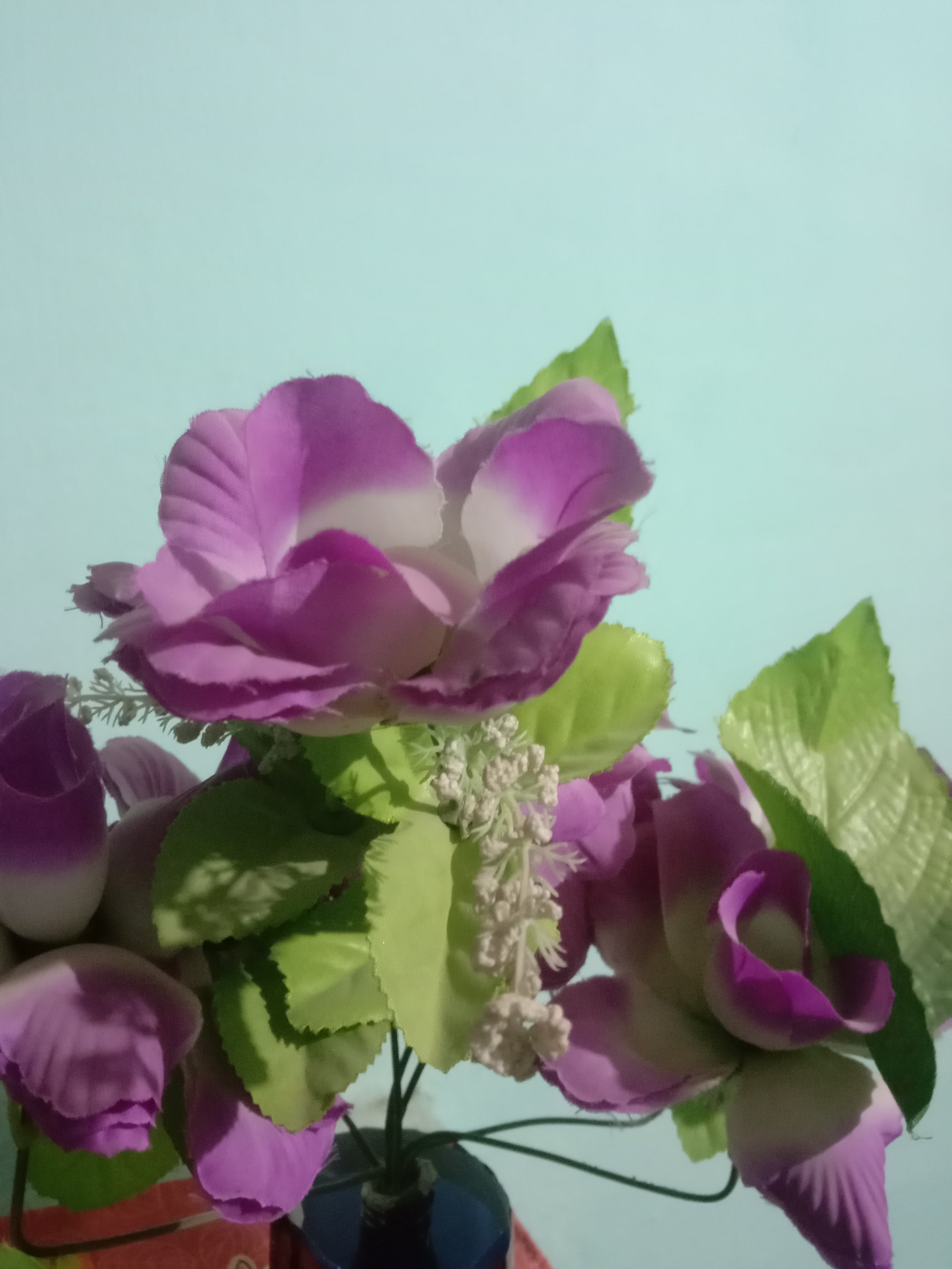 IMG_20211220_180039.jpg