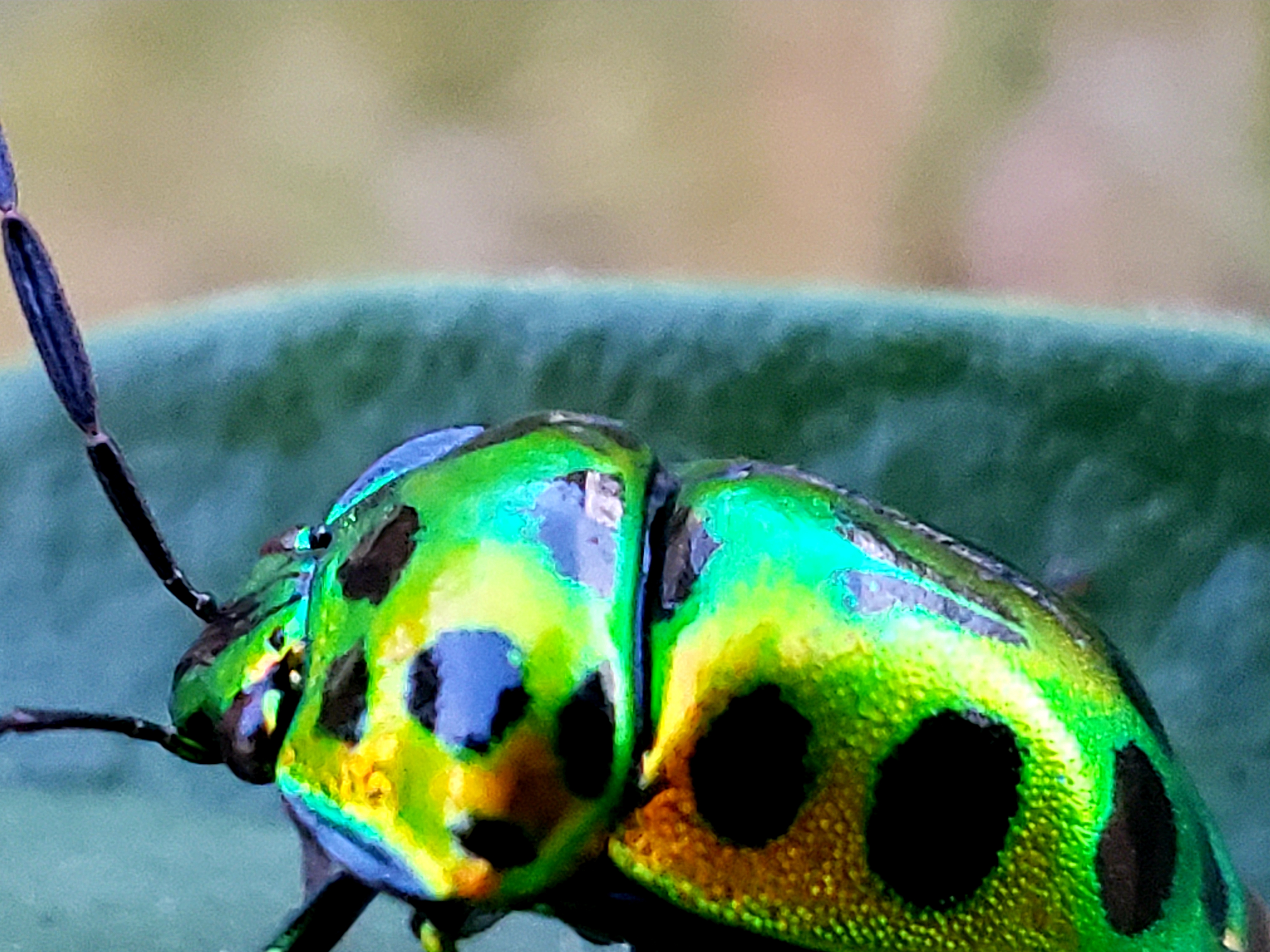 20210915_220443.jpg
