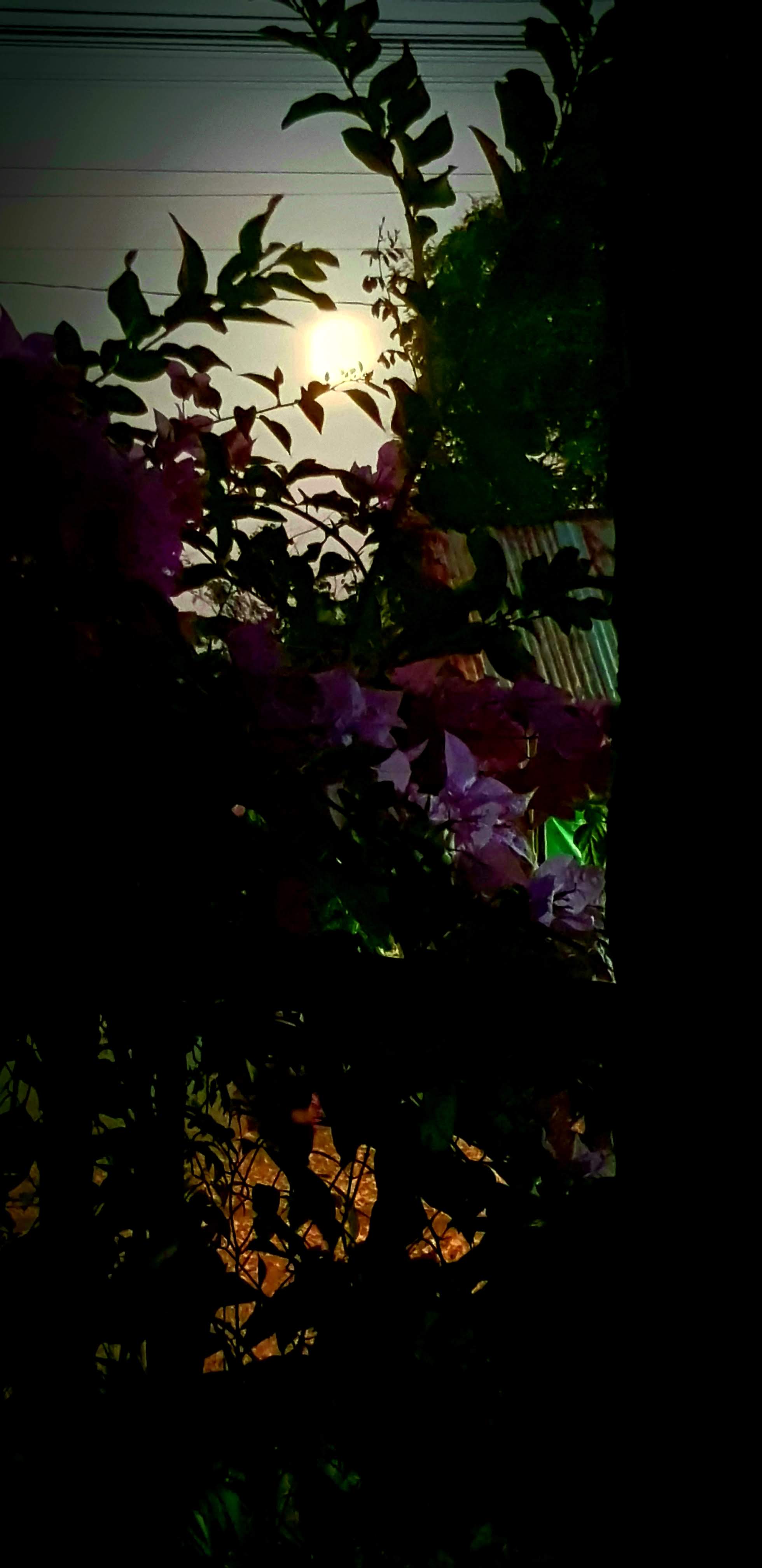 20220216_182834.jpg