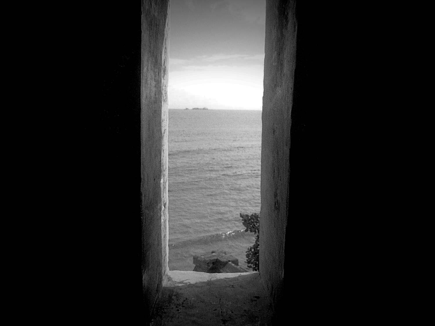 DSC02271 (1).jpg