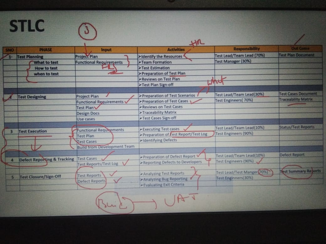 study (1).jpeg