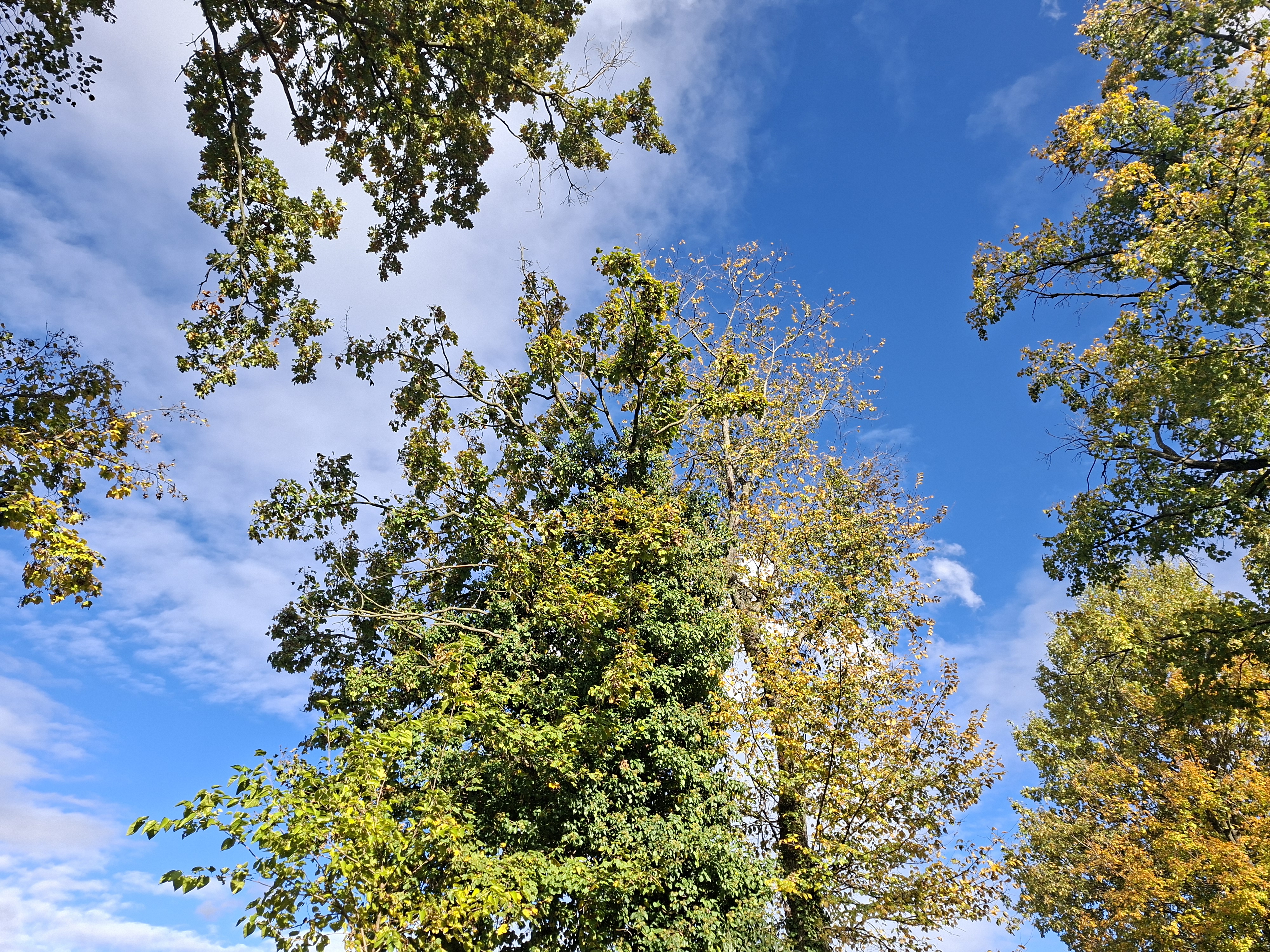 20251024_142258.jpg