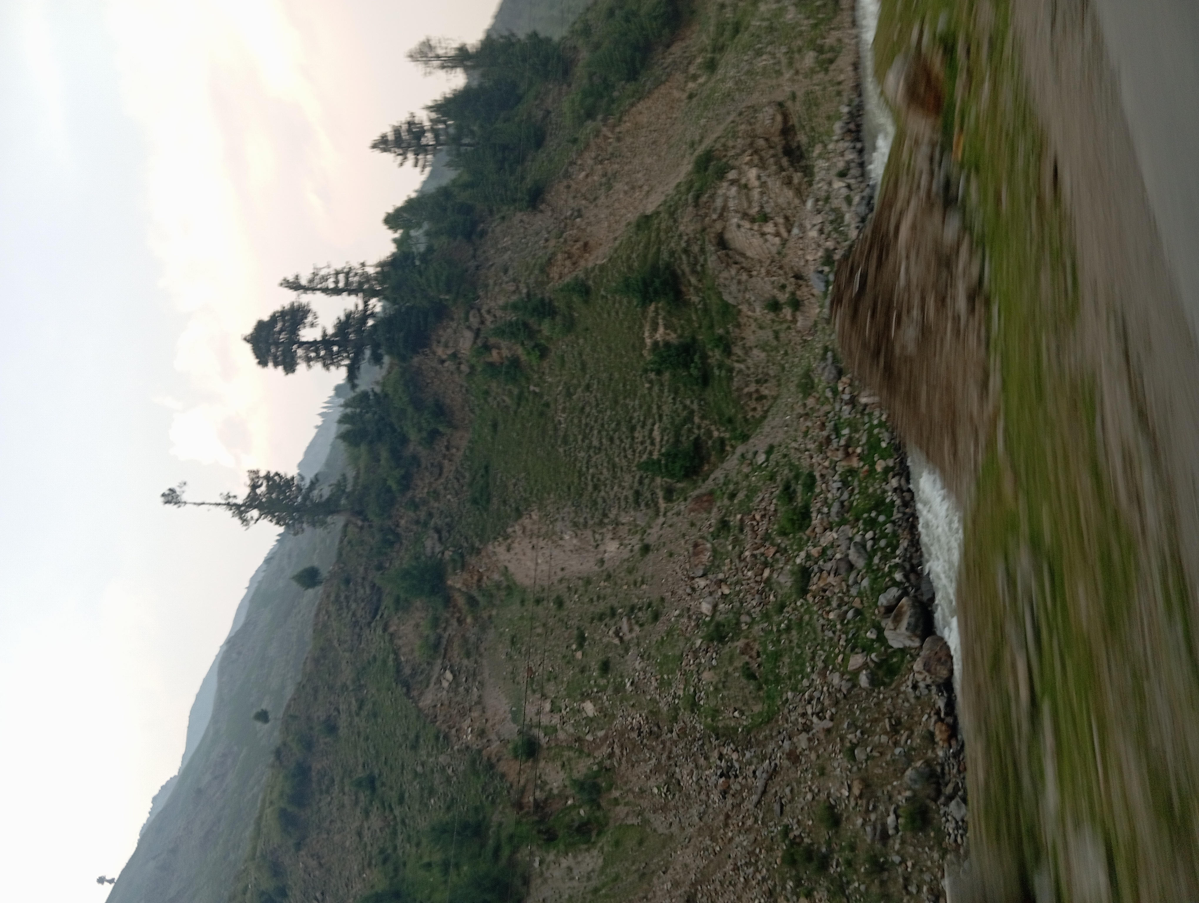 1000404441.jpg