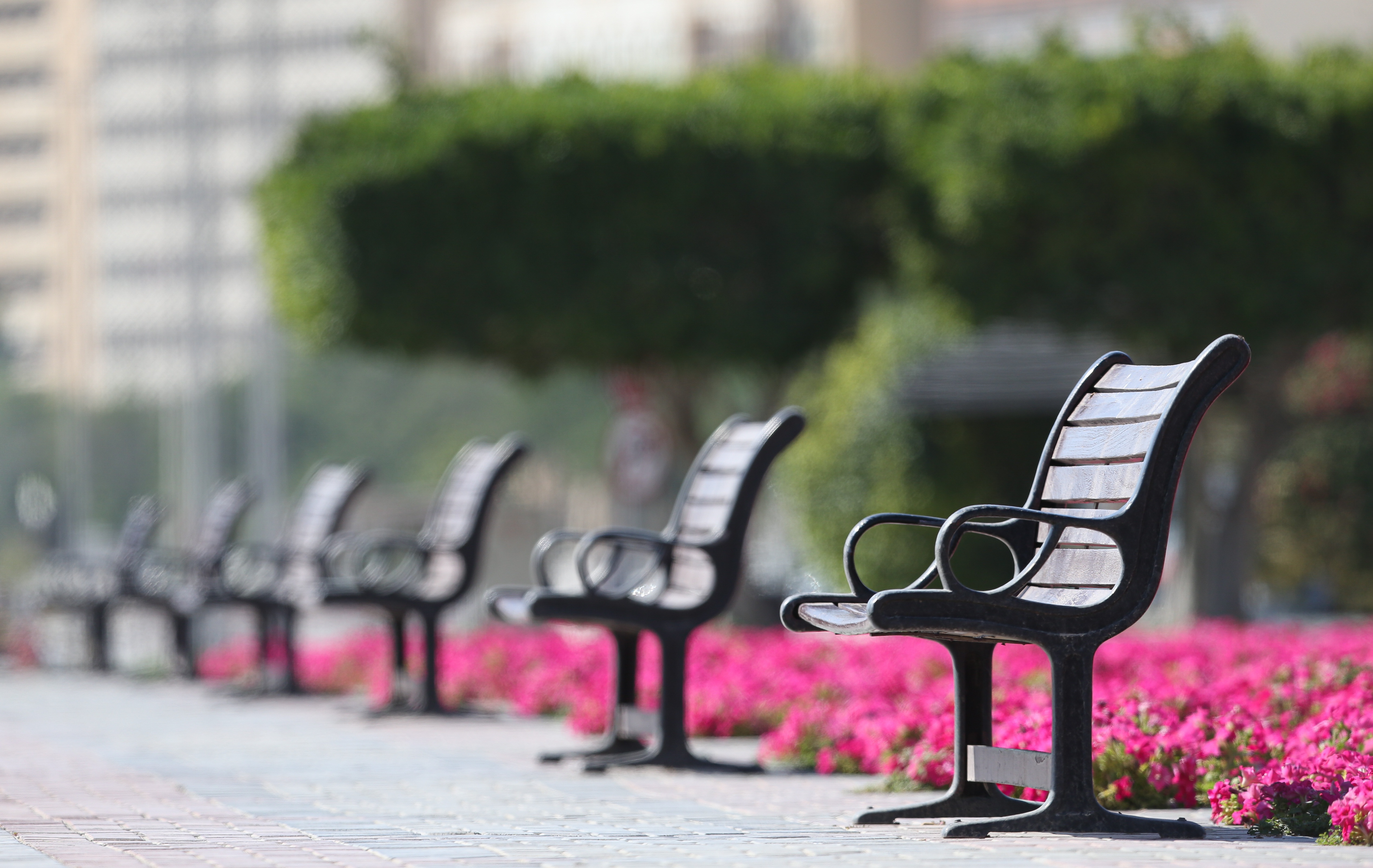 ahmadardity-bench-5017748.jpg