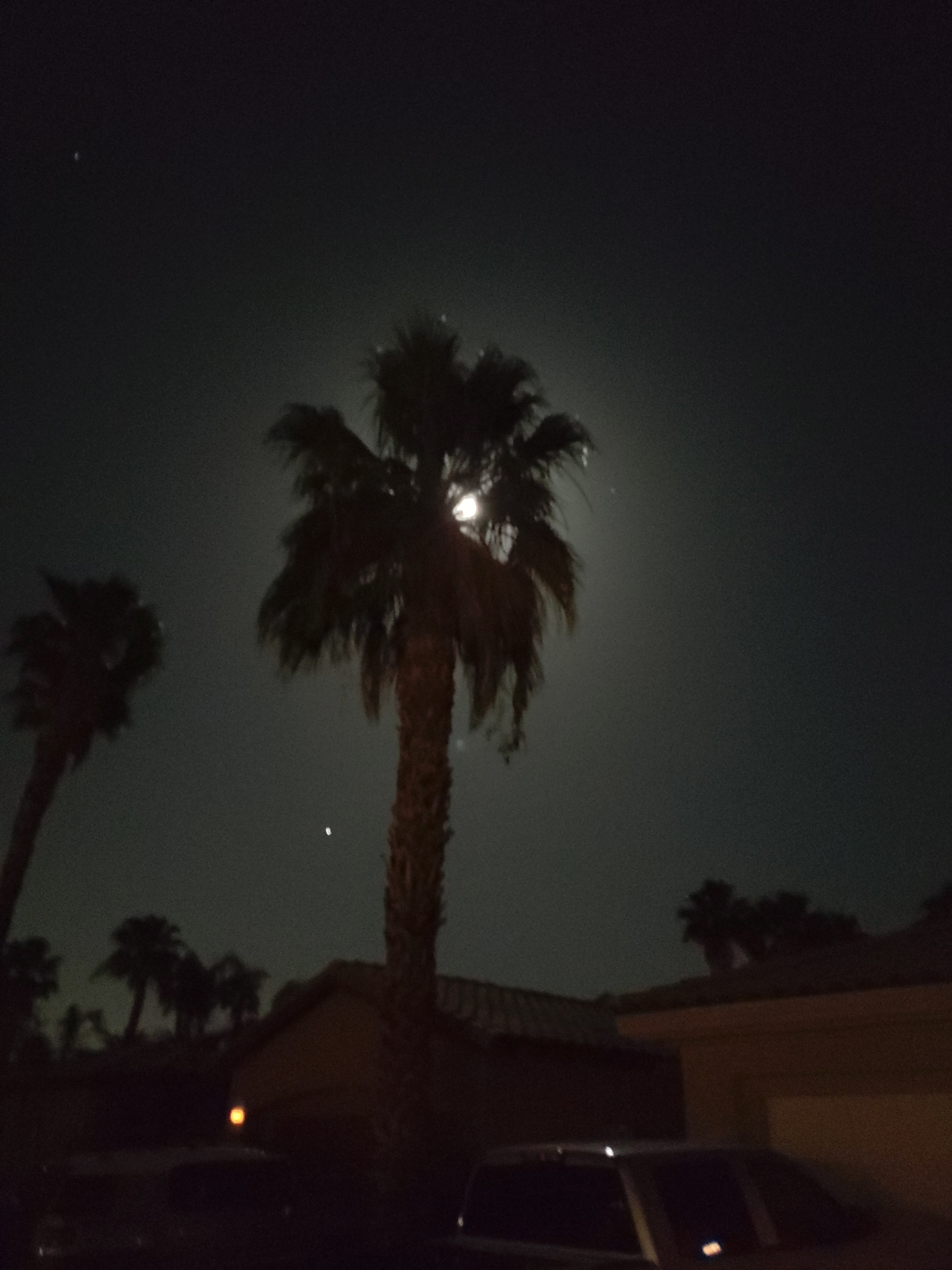 20180428_214025_resized.jpg