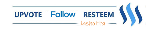 follow1.jpg