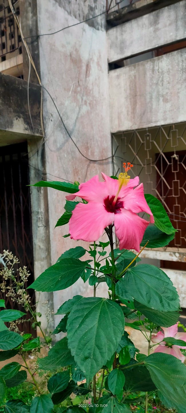 IMG20220410110934.jpg