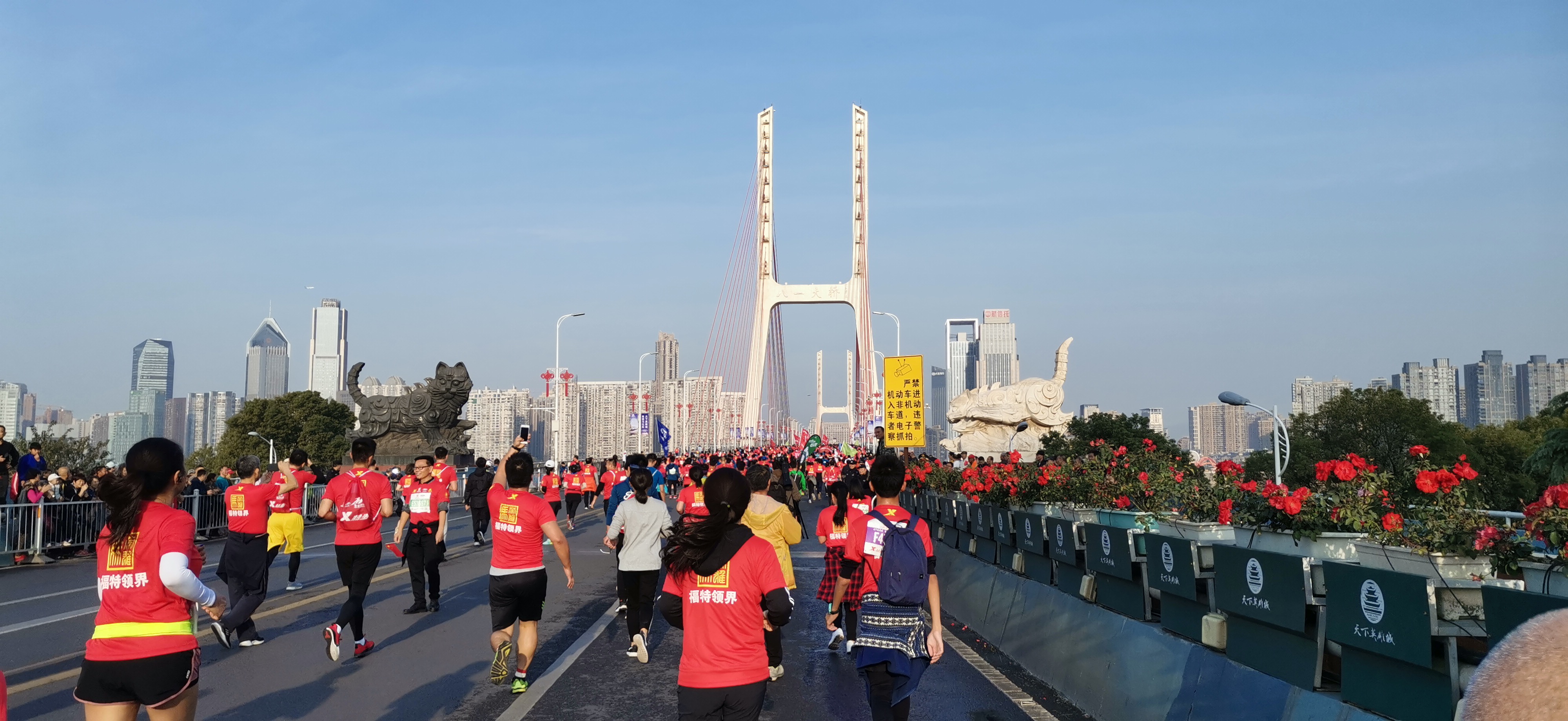 激情赣马🐴 今日开跑🏃 Passion gan ma 🐴 open run 🏃 today