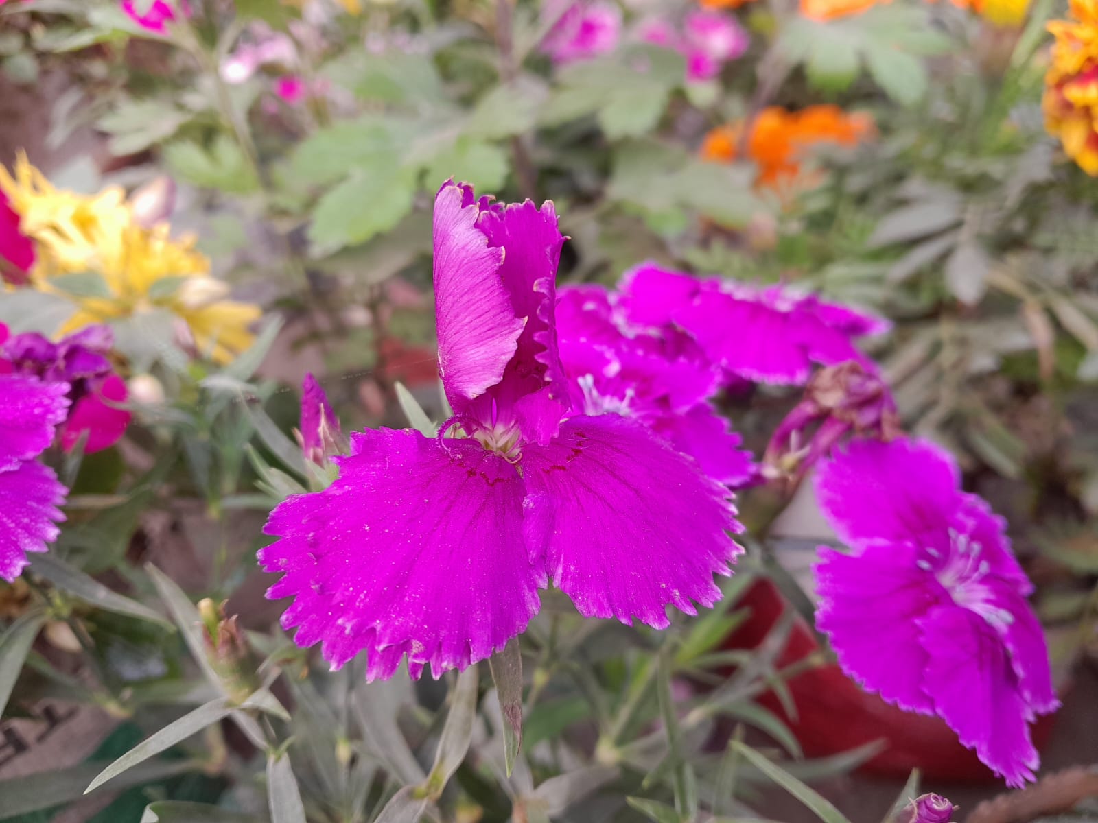 WhatsApp Image 2024-07-03 at 3.03.28 PM (1).jpeg