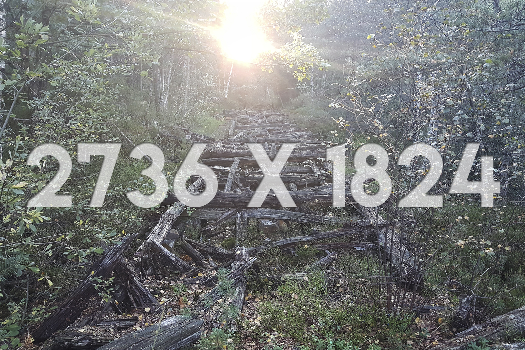 03 2736x1824 Thumbnail Trail of Time.jpg