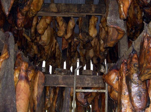 Makanan-Menjijikkan-Jorok-Tapi-katanya-Paling-Enak-Sedunia.jpg