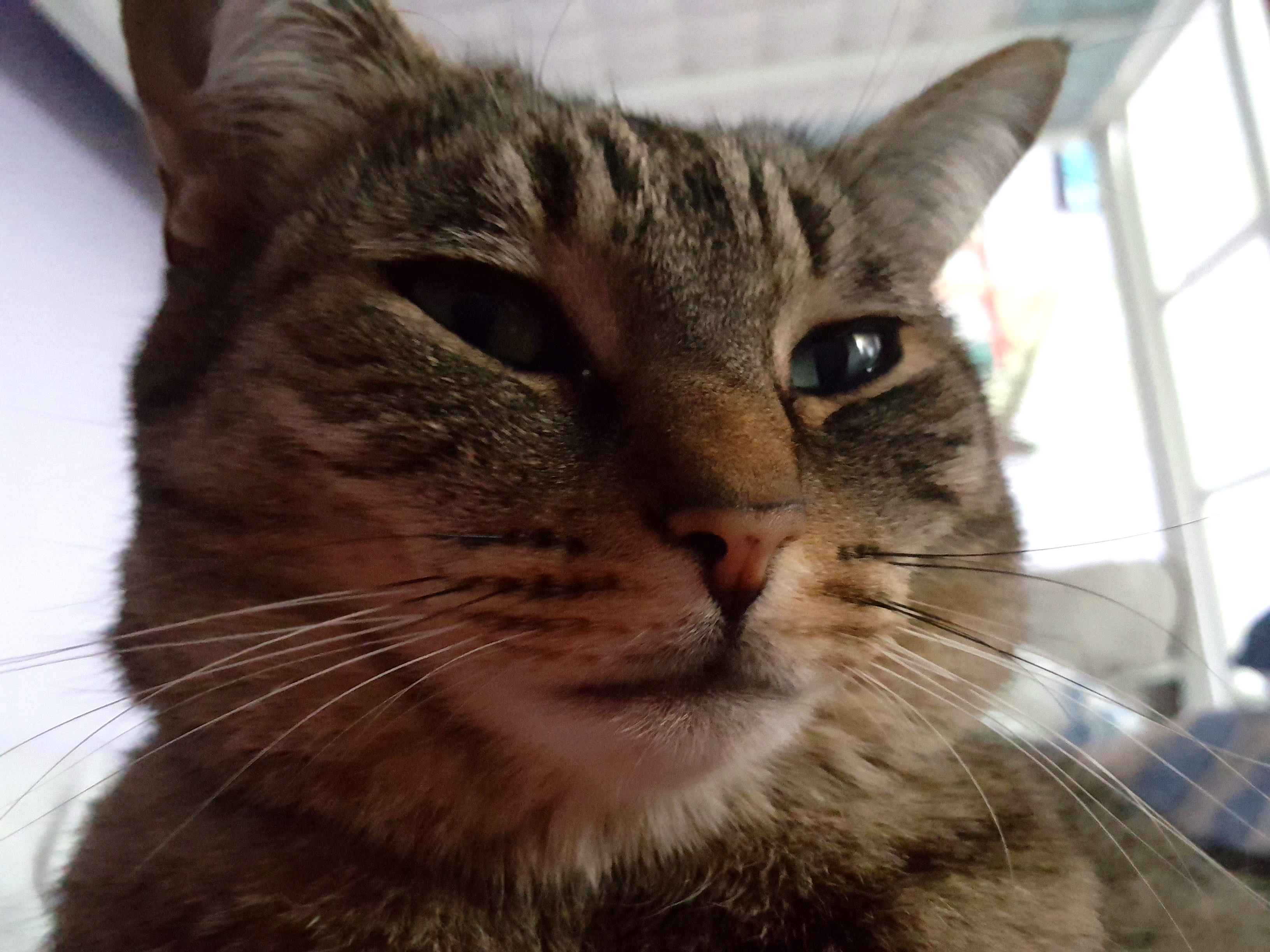 20180922_092557.jpg
