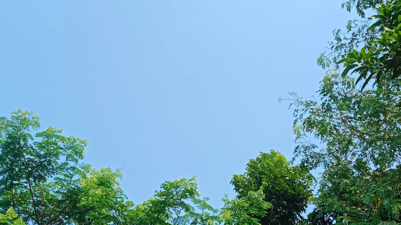IMG_20251026_211237_951.jpg