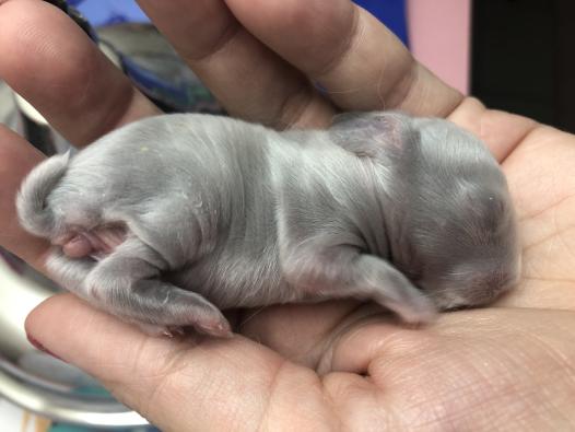 baby3.jpg