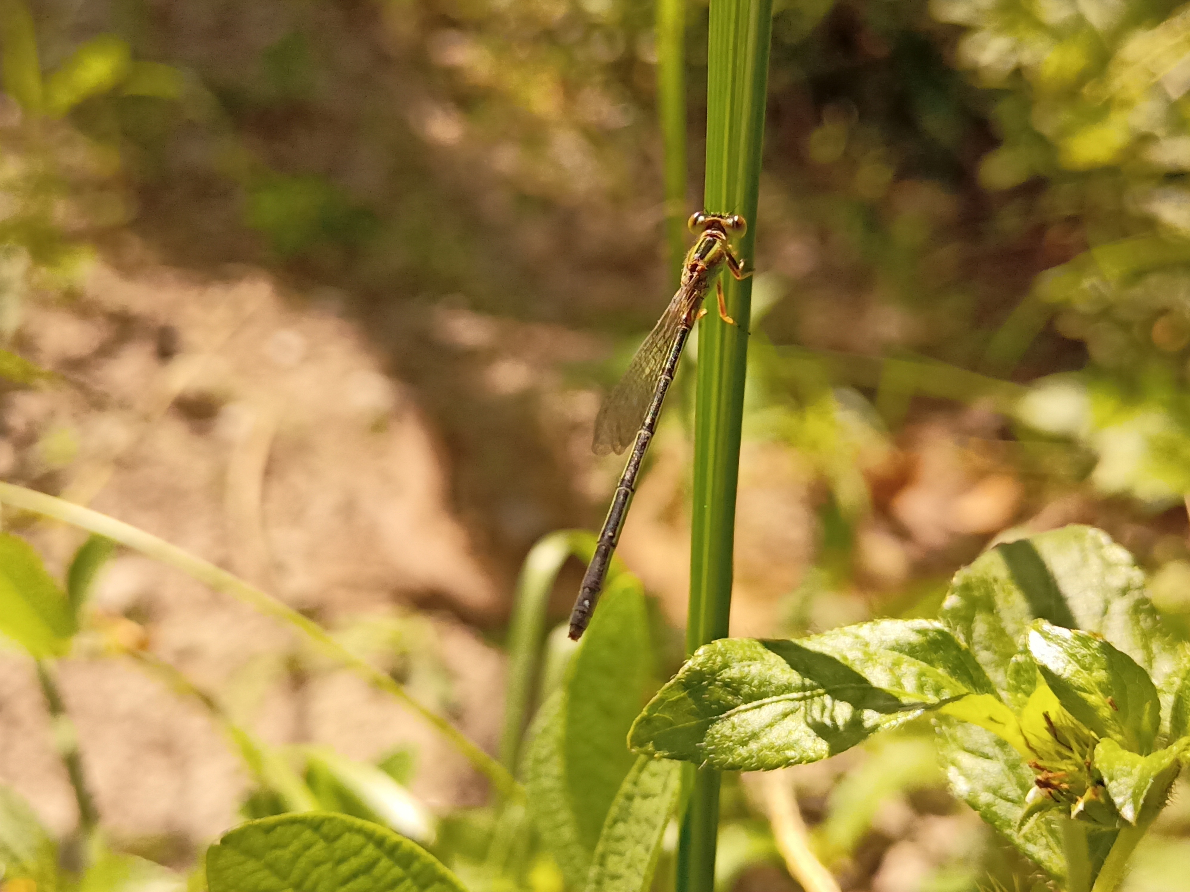 IMG20210426093605.jpg