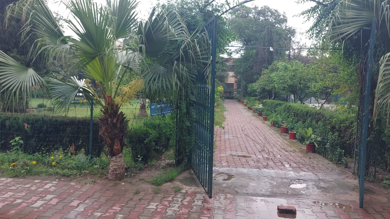 WhatsApp Image 2026-08-03 at 2.03.36 PM.jpeg
