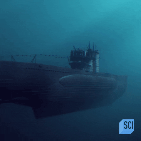 Sea Omg GIF by Discovery.gif