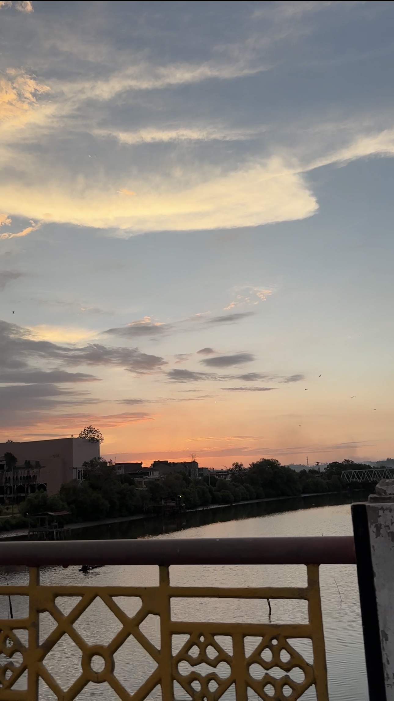 IMG_8966.jpeg