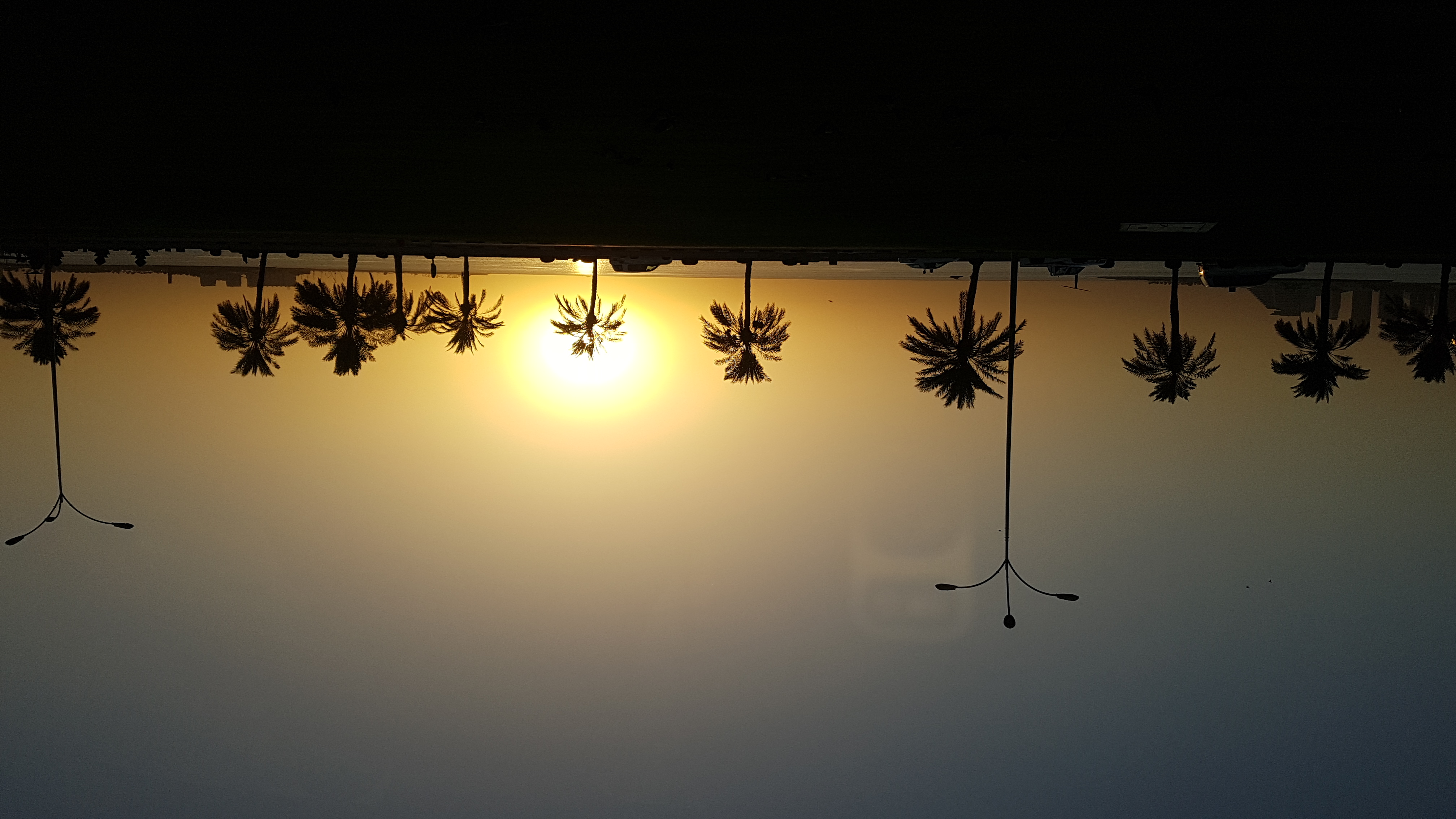 20180620_140643.jpg