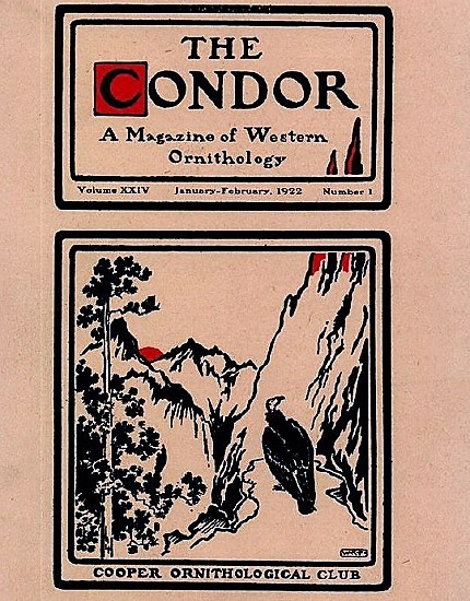 TheCondor1922.jpg