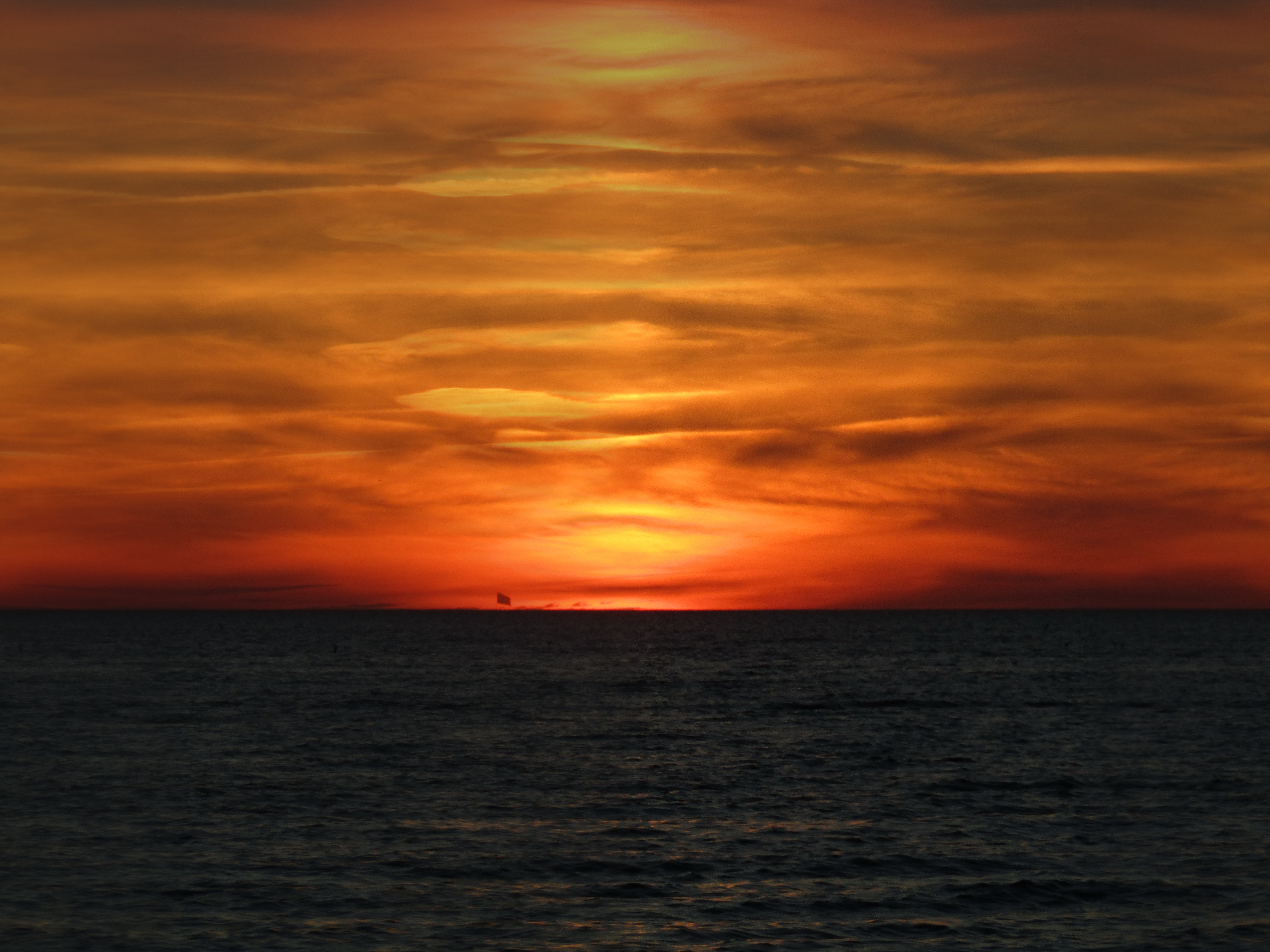 IMG_0578.--JPG.jpg