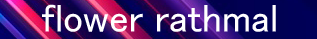 33.png