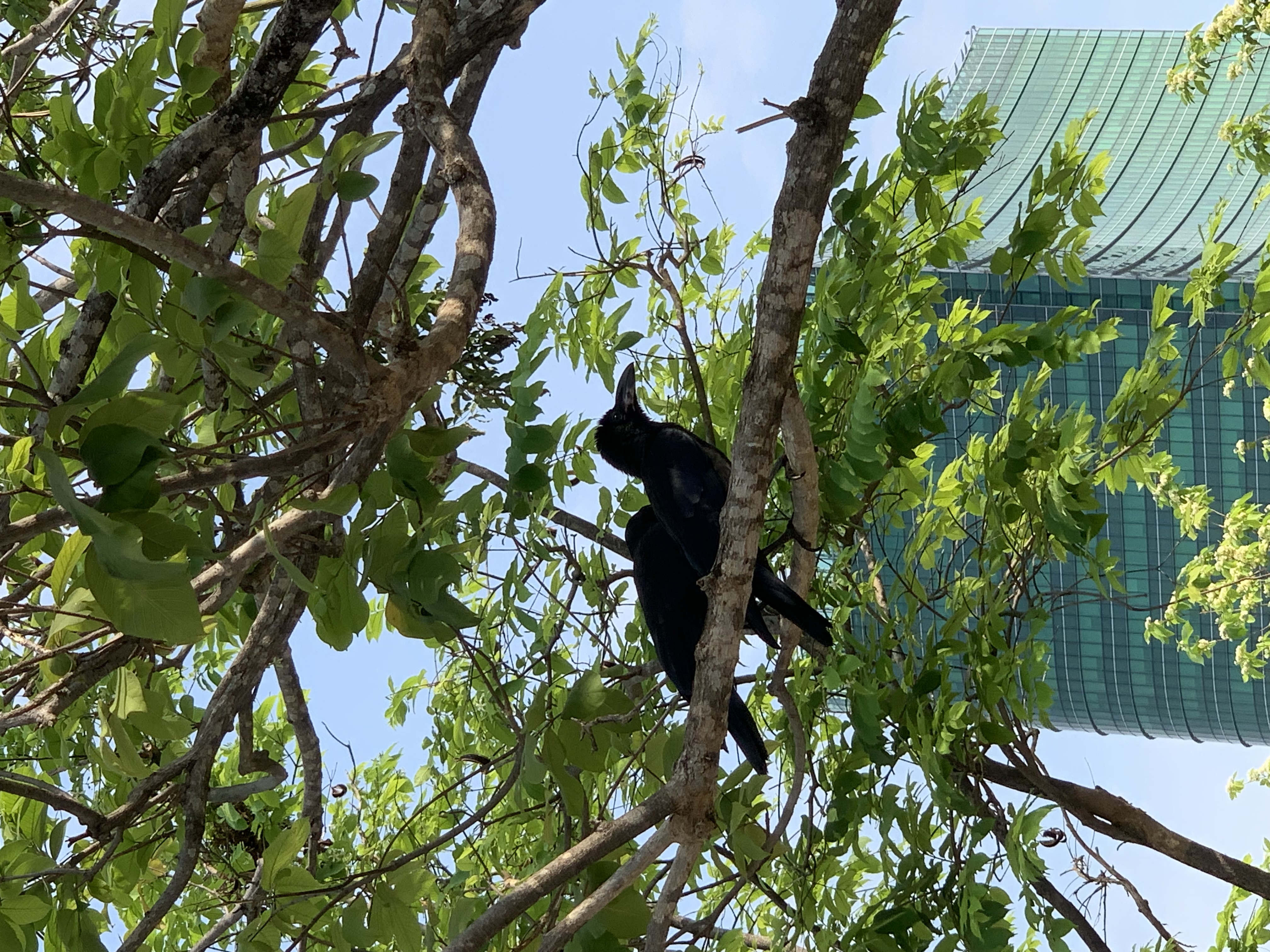 birdwatching spots36.jpg